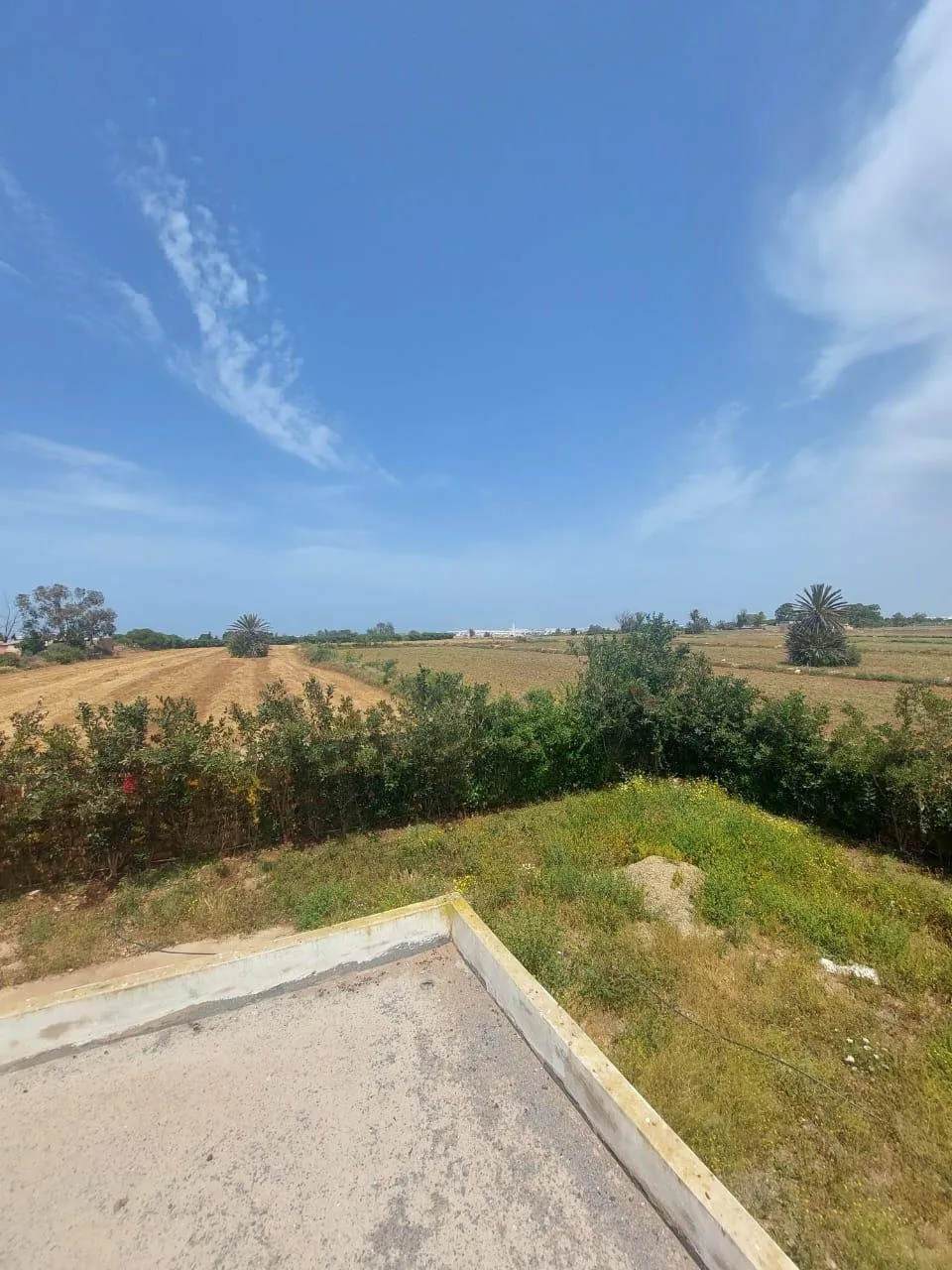 TERRAIN R+1PLEIN CENTRE bouskorra - الدار البيضاء (3)