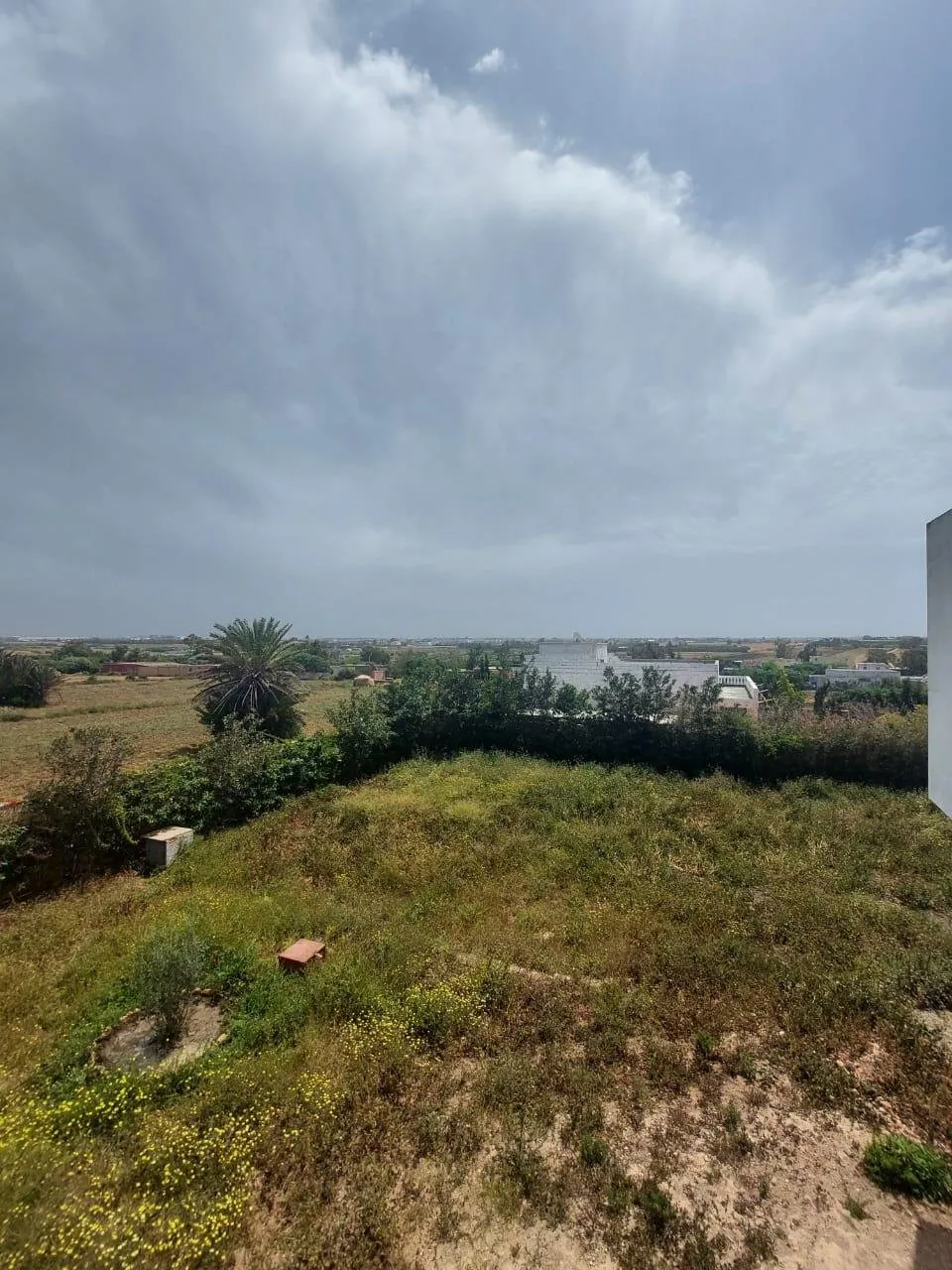 TERRAIN R+1PLEIN CENTRE bouskorra - الدار البيضاء (2)