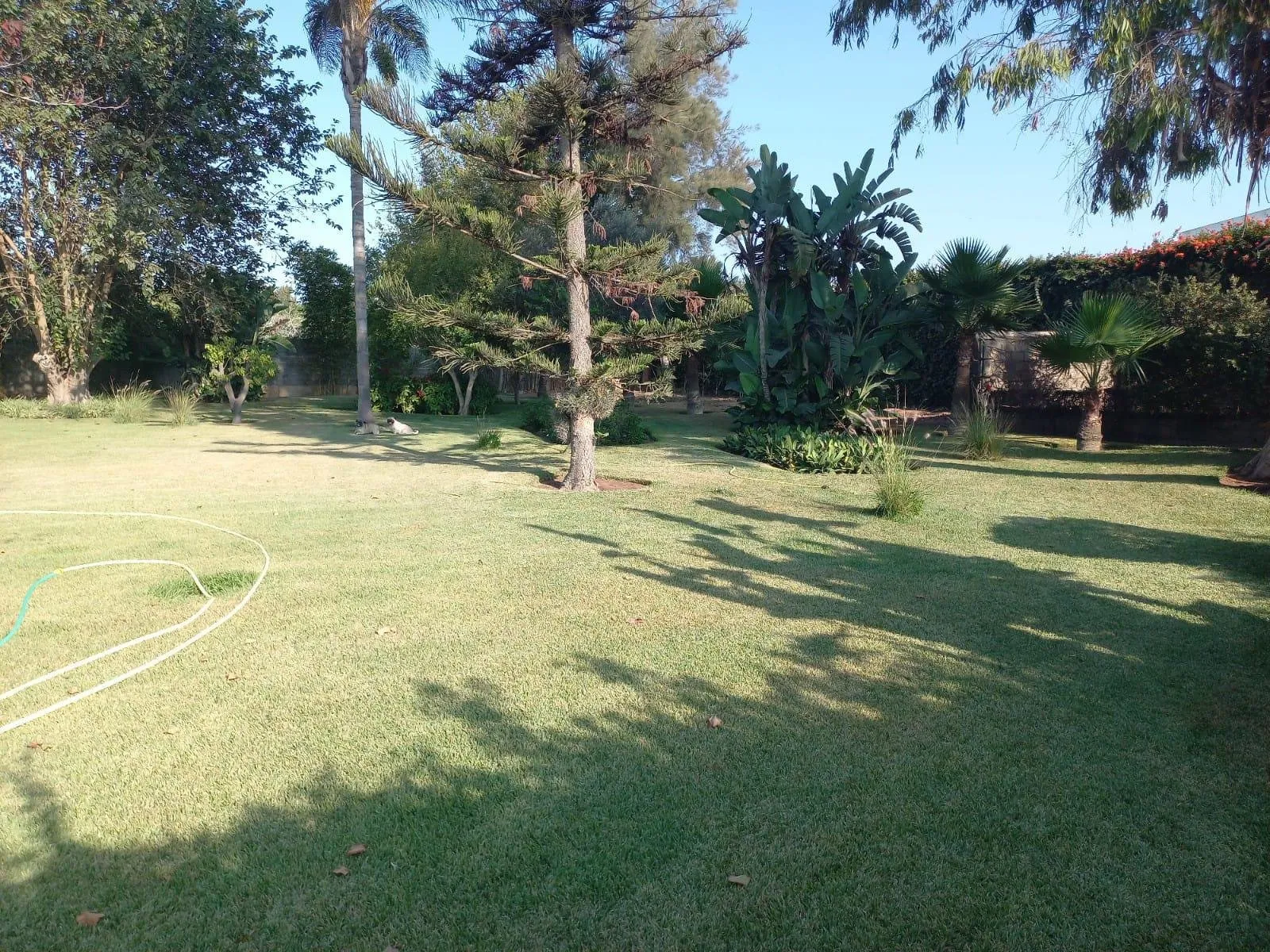 Belle villa à vendre située à  souissi Rabat - الرباط (3)
