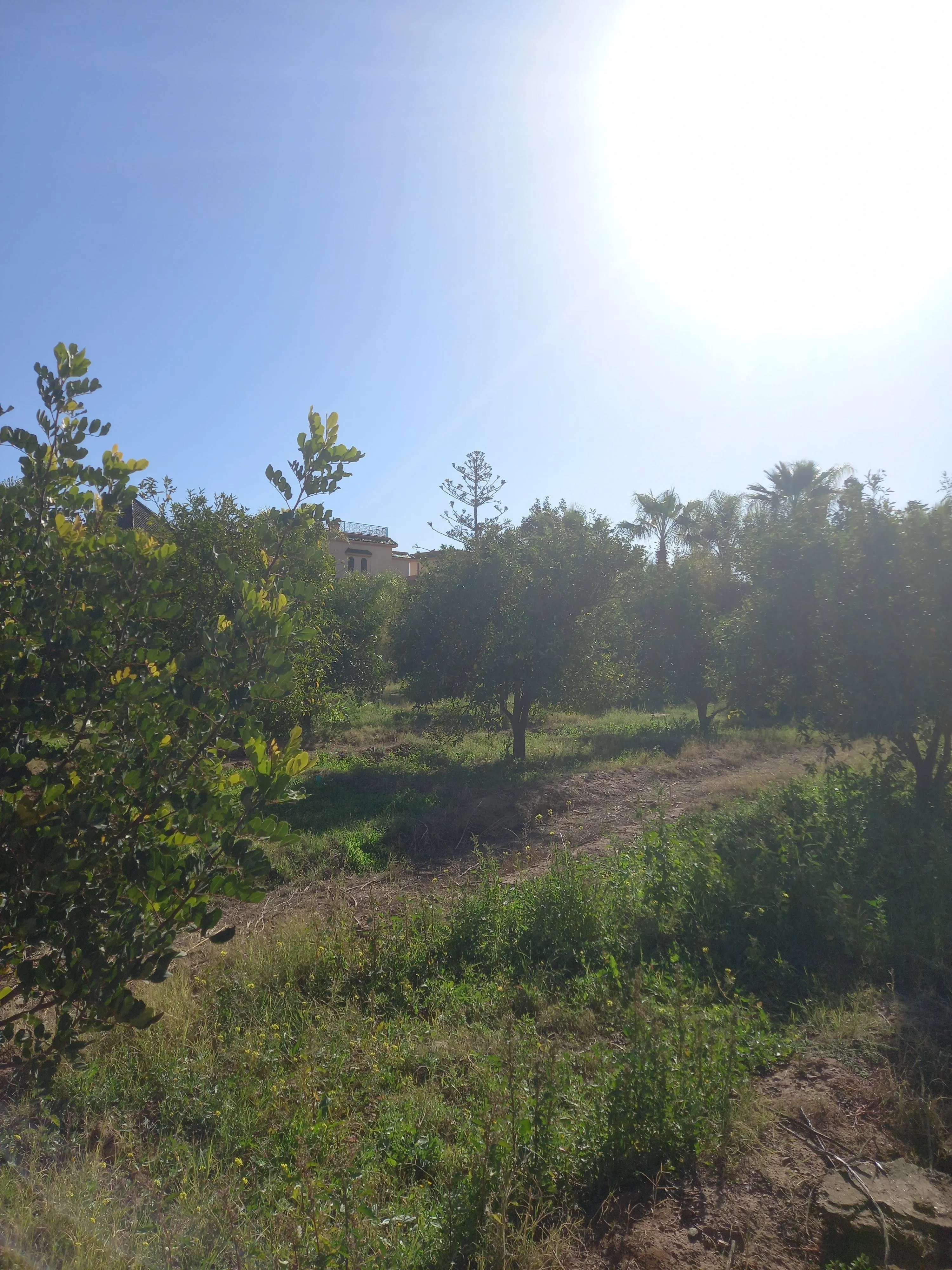 Lot de villa de 2542 m² Rte d'ourika melkia - مراكش