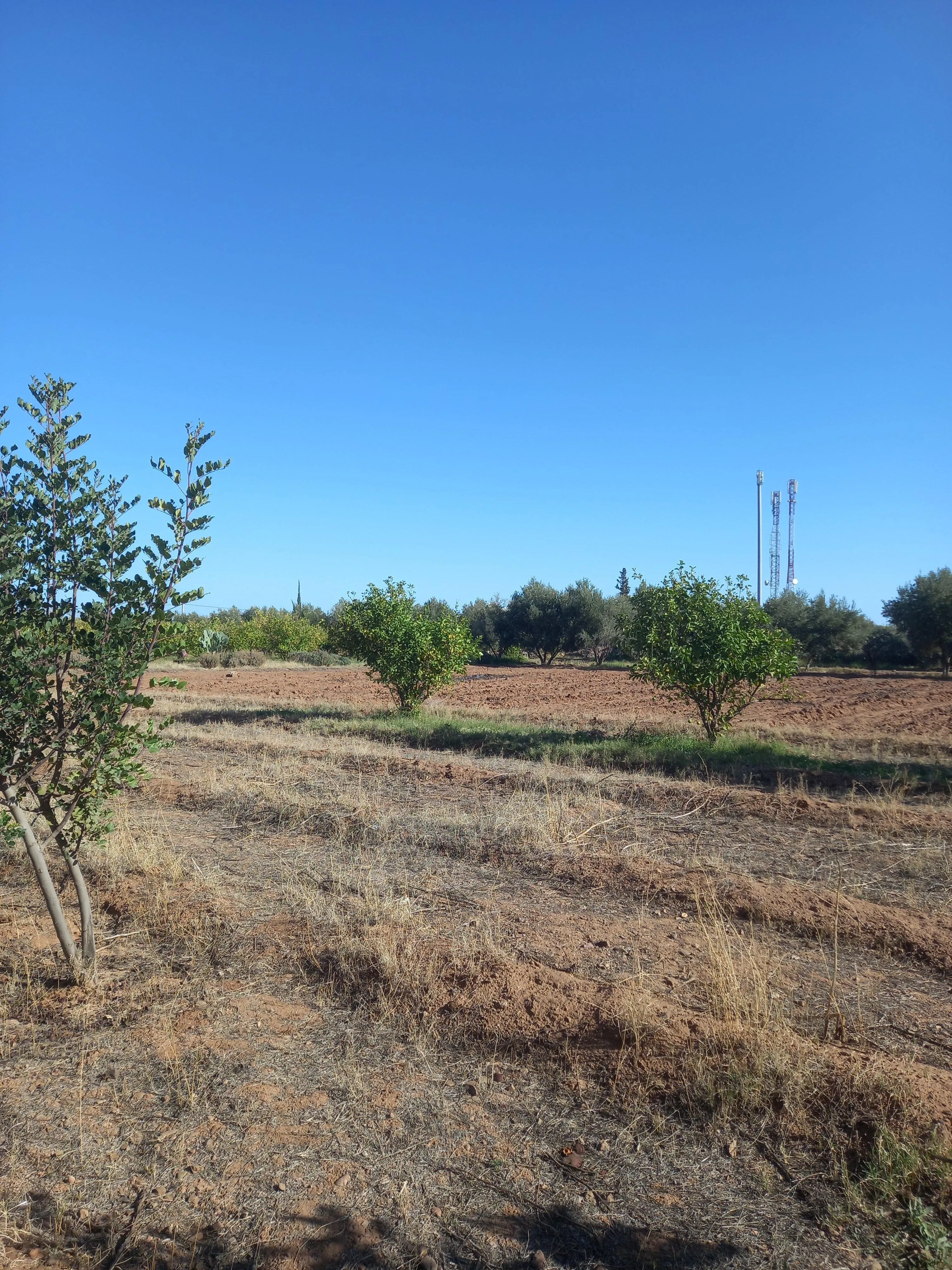Lot de villa Rte Ourika de 1452 m² Melkia - مراكش (2)