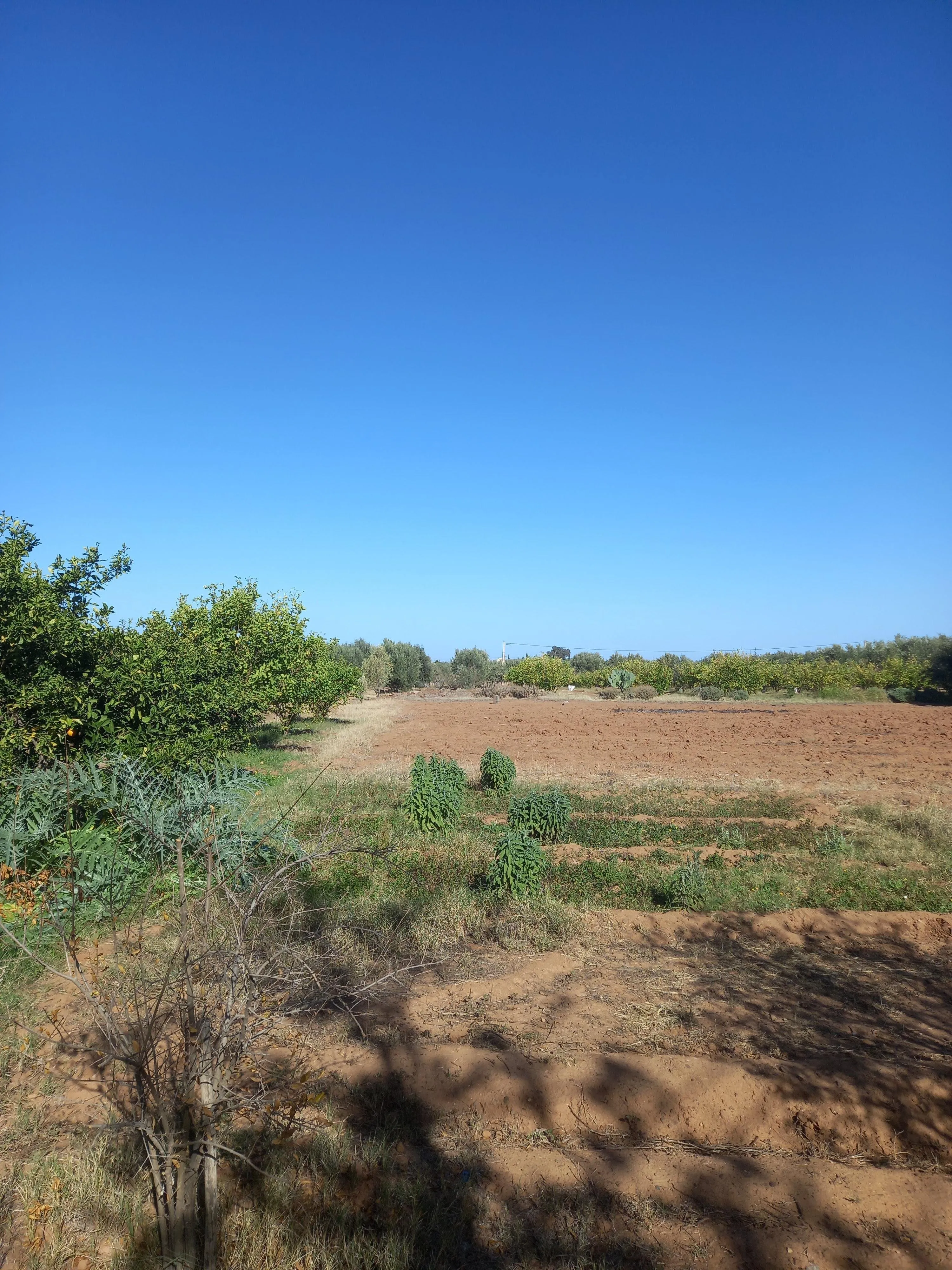 Lot de villa Rte Ourika de 1452 m² Melkia - مراكش (3)