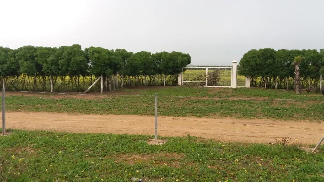 TERRAIN OPPORTUNITÉ TAMARIS 10500m2 - الدار البيضاء