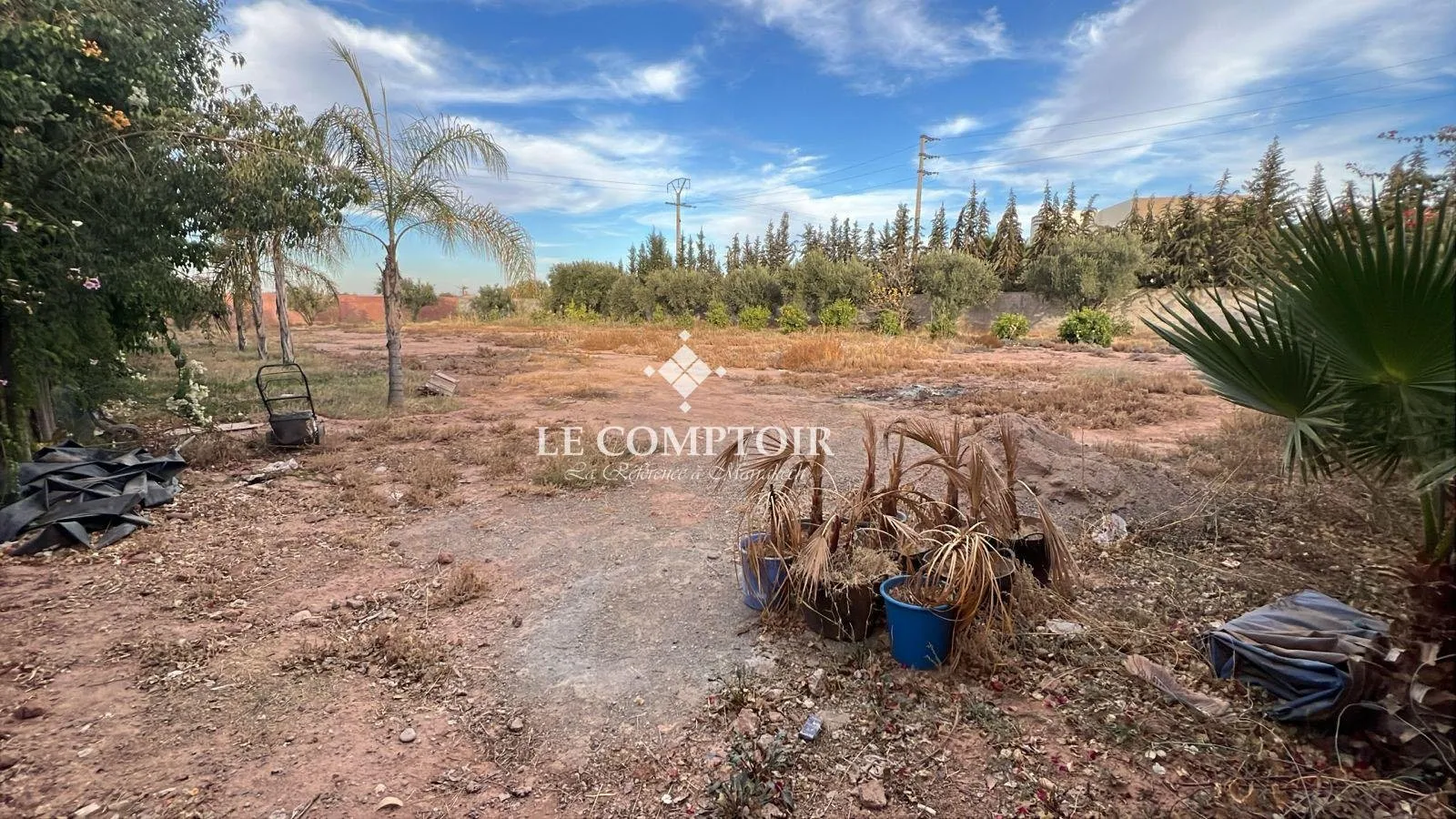 Terrain Nu Titré à Vendre – Le Comptoir de l’Immobilier, Marrakech - مراكش