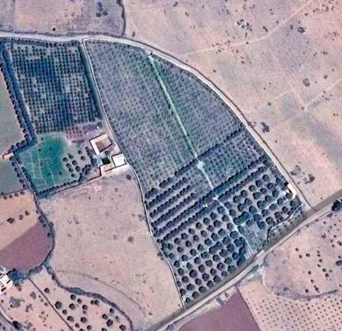 Exceptionnelle Ferme de 3,5 Hectares sur la Route de Fès - مراكش (4)