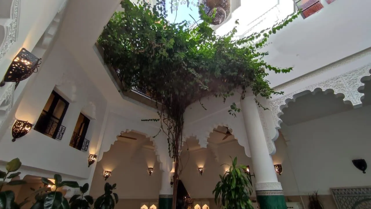 Vente d'un Riad de Prestige aux Finitions Haut de Gamme - مراكش