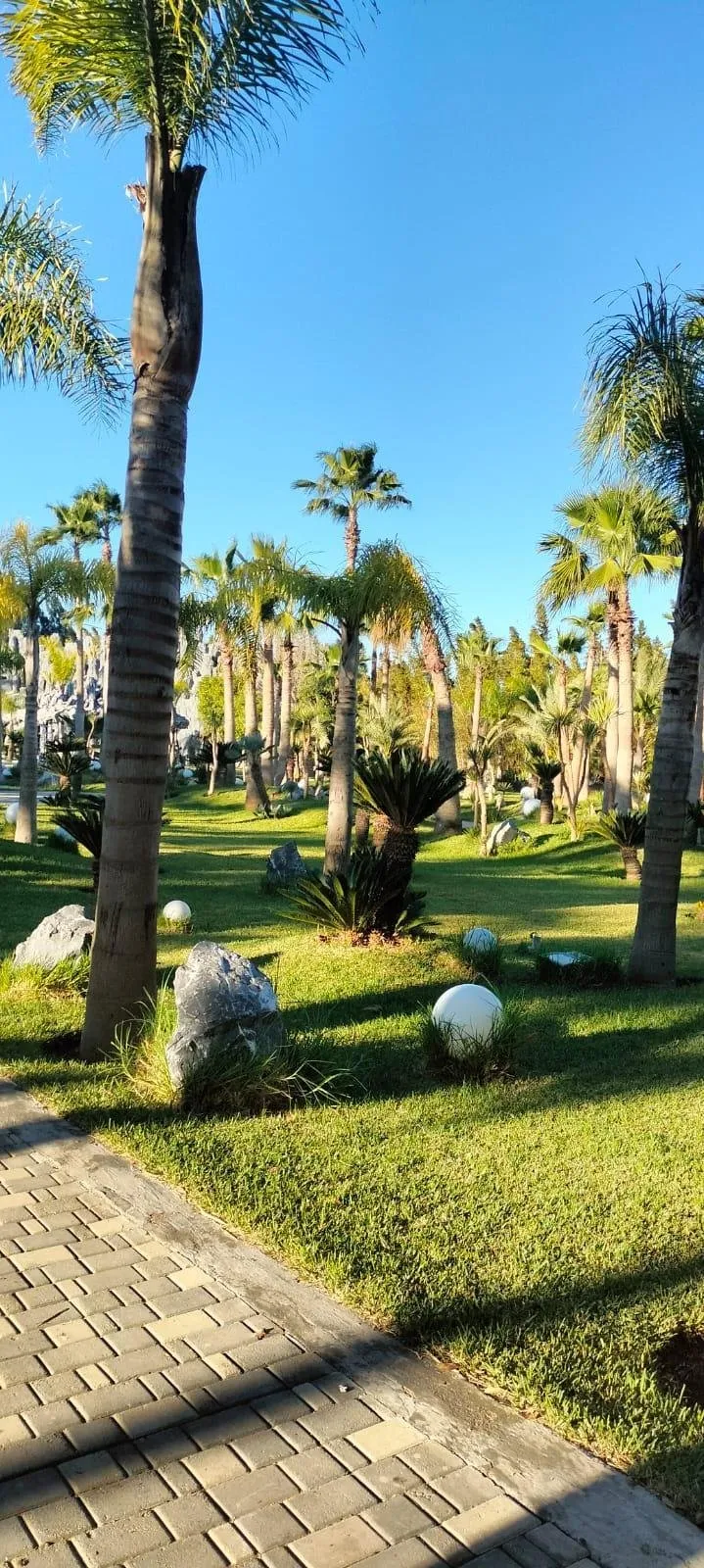 Terrain  EN ZONE D1 VILLAS BOUSKORRA - بوسكورة