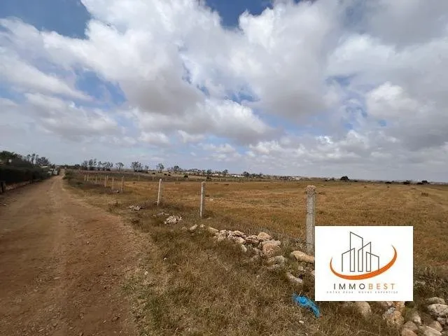 Sidi Rahal, vente d’un terrain agricole 10539 m² - الدار البيضاء (2)