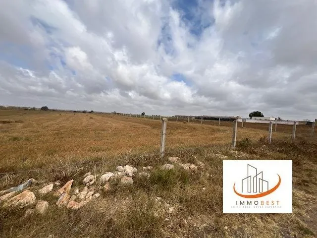 Sidi Rahal, vente d’un terrain agricole 10539 m² - الدار البيضاء
