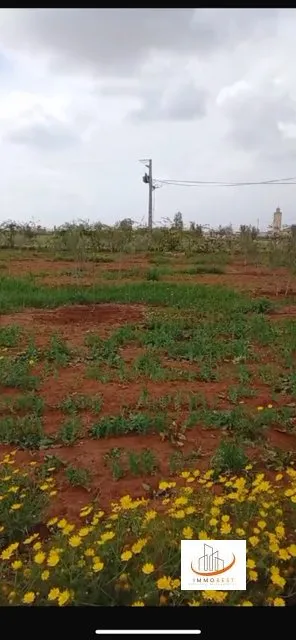 Vente d’une ferme 11850 m2 (2 hectares environ) à Victoria route Oulad Said - سطات