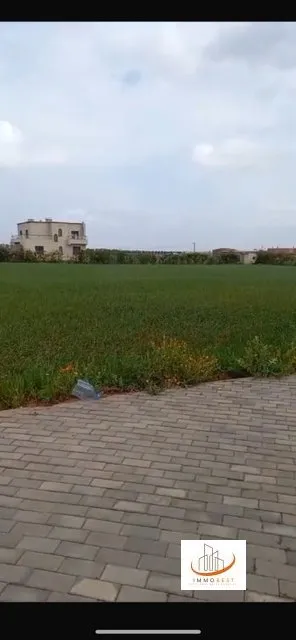 Vente d’une ferme 11850 m2 (2 hectares environ) à Victoria route Oulad Said - سطات (3)