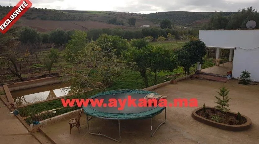 Vente Ferme Tiflet - tifelt