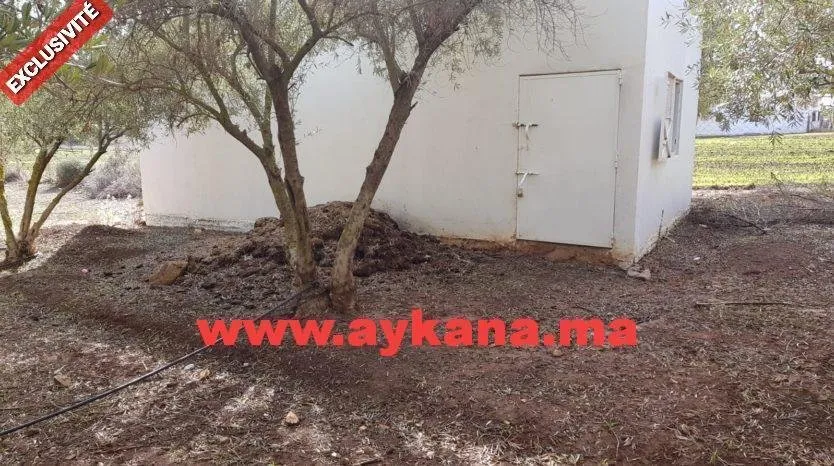 Vente Ferme Tiflet - tifelt (2)