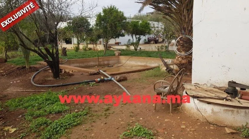 Vente Ferme Tiflet - tifelt (3)