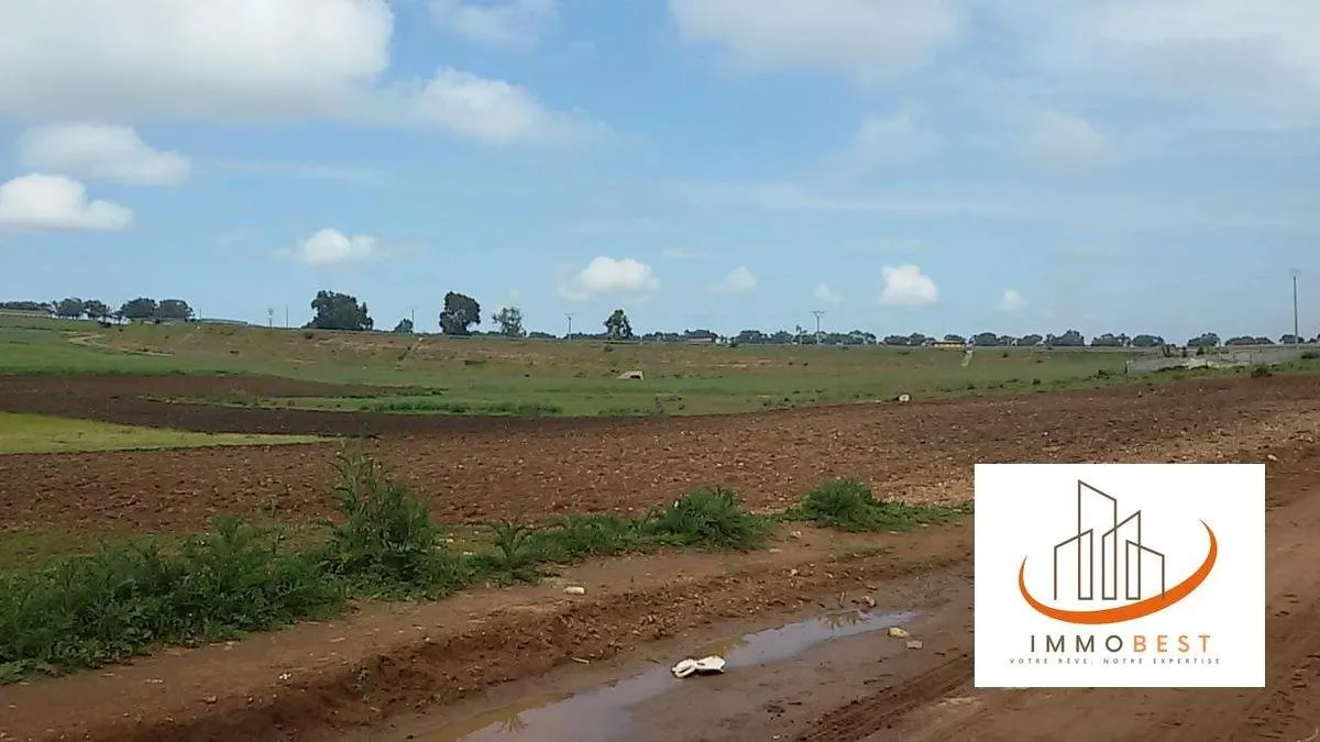 Terrain titré à vendre de 10 000 m² (1 Hectare), pour ferme ou maison secondaire, à Tnine Chtouka - الجديدة (2)
