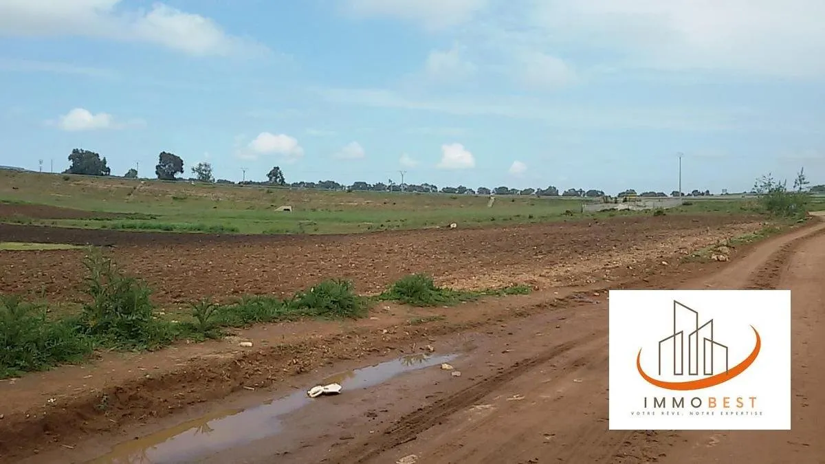 Terrain titré à vendre de 10 000 m² (1 Hectare), pour ferme ou maison secondaire, à Tnine Chtouka - الجديدة