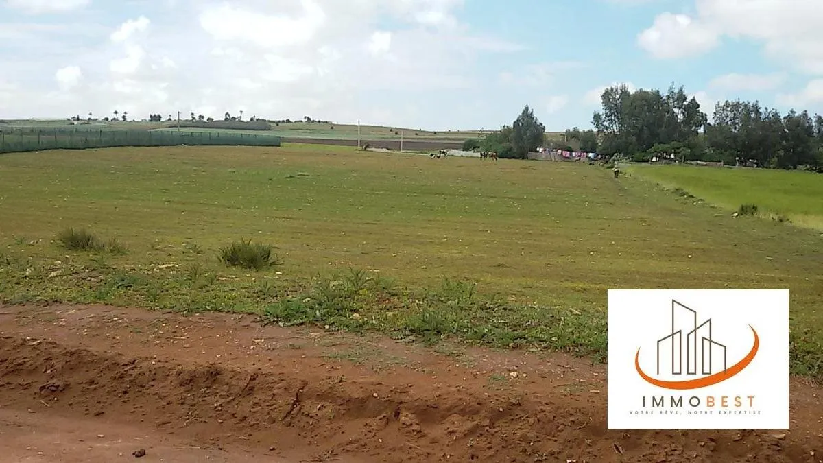 Terrain titré à vendre de 10 000 m² (1 Hectare), pour ferme ou maison secondaire, à Tnine Chtouka - الجديدة (3)