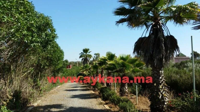 Vente Ferme Benslimane REF 3624 - بن سليمان