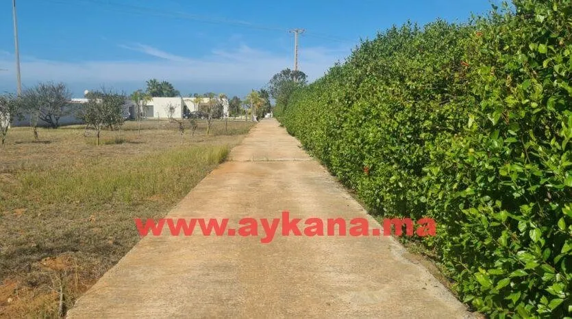 Vente Ferme Skhirat REF 3560 - الصخيرات (2)