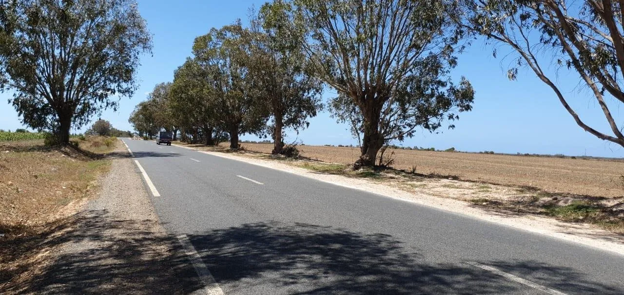 Terrain agricole sur la route principale - bir-jdid