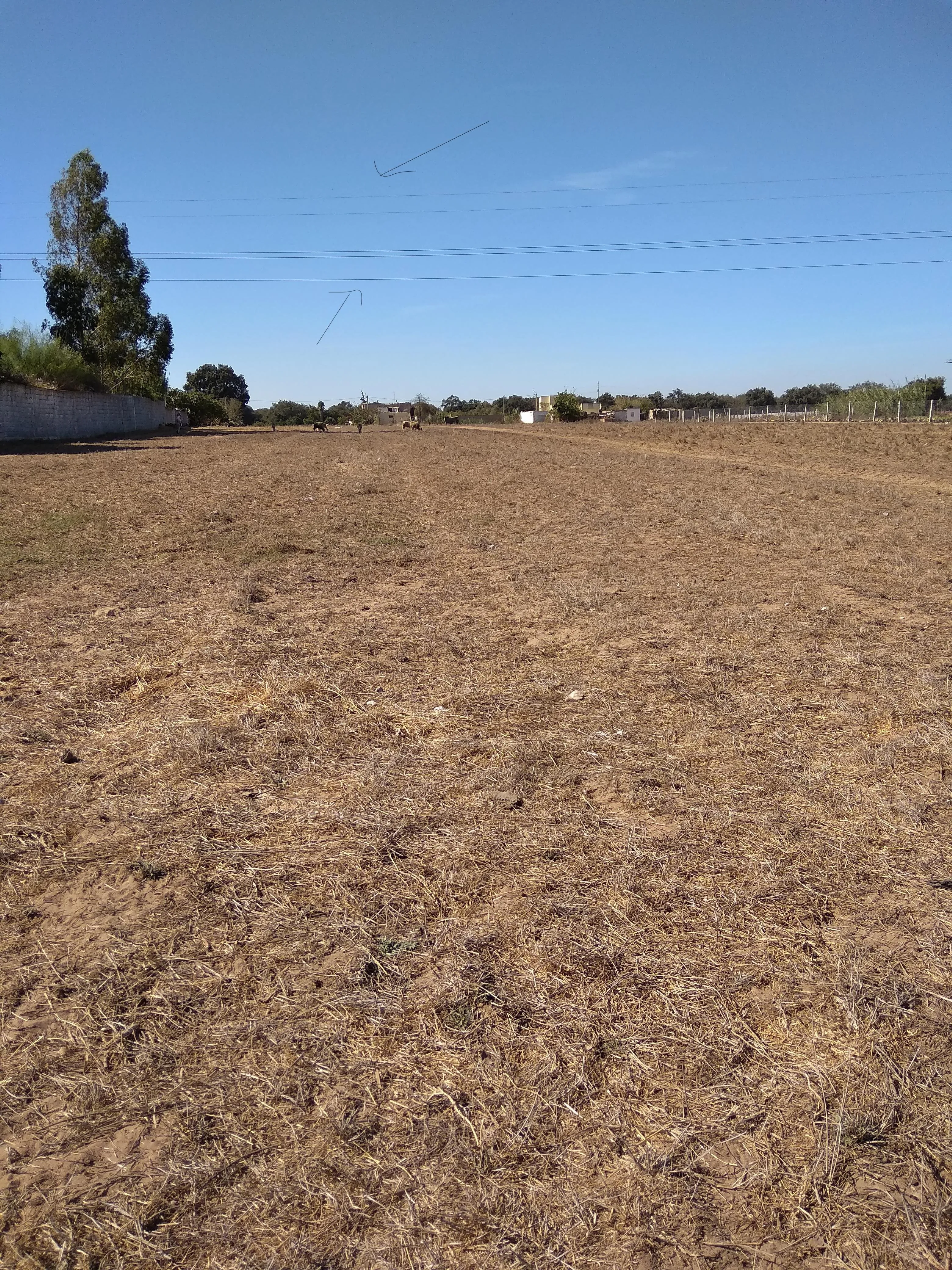 Terrain Titre a El Menzeh 6500 m2 - Zone D4 - الرباط