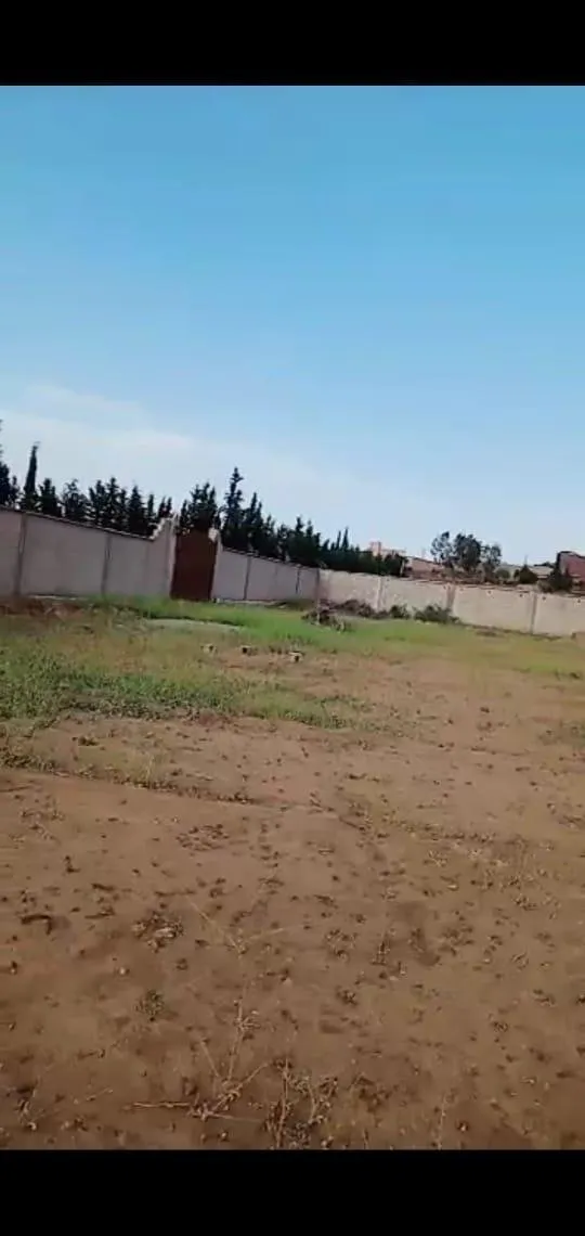Terrain Malkia 1 Hectare GHMAT Ourika Kms 28 - مراكش