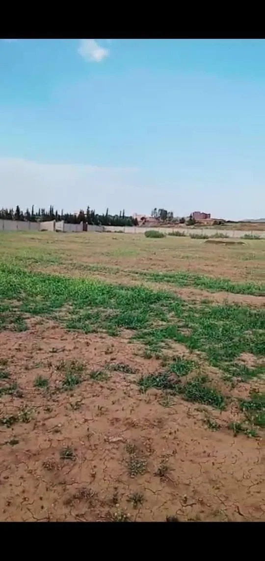 Terrain Malkia 1 Hectare GHMAT Ourika Kms 28 - مراكش (3)