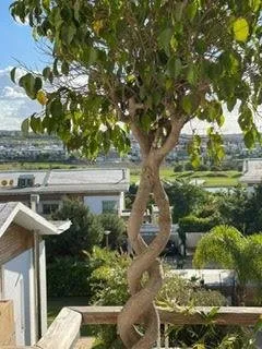 Bel appartement à la ville verte Bouskoura - بوسكورة (2)