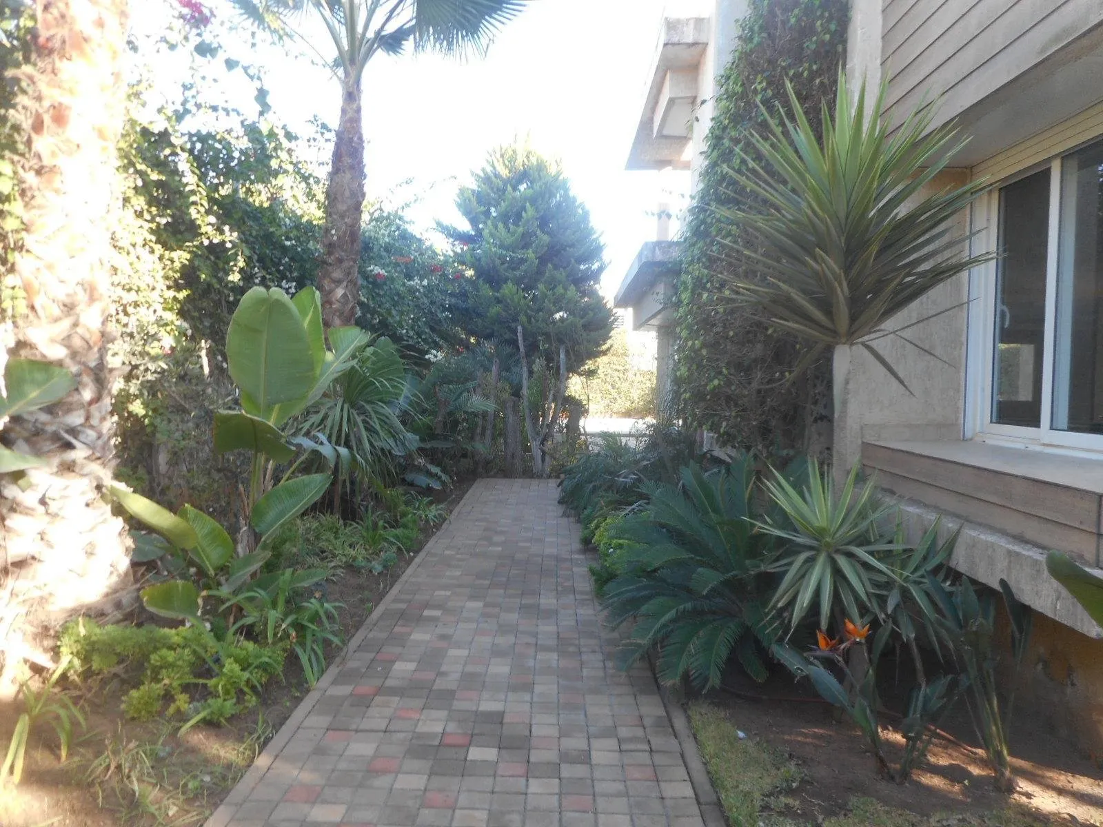Vente Villa Bouskoura Casablanca - بوسكورة (4)