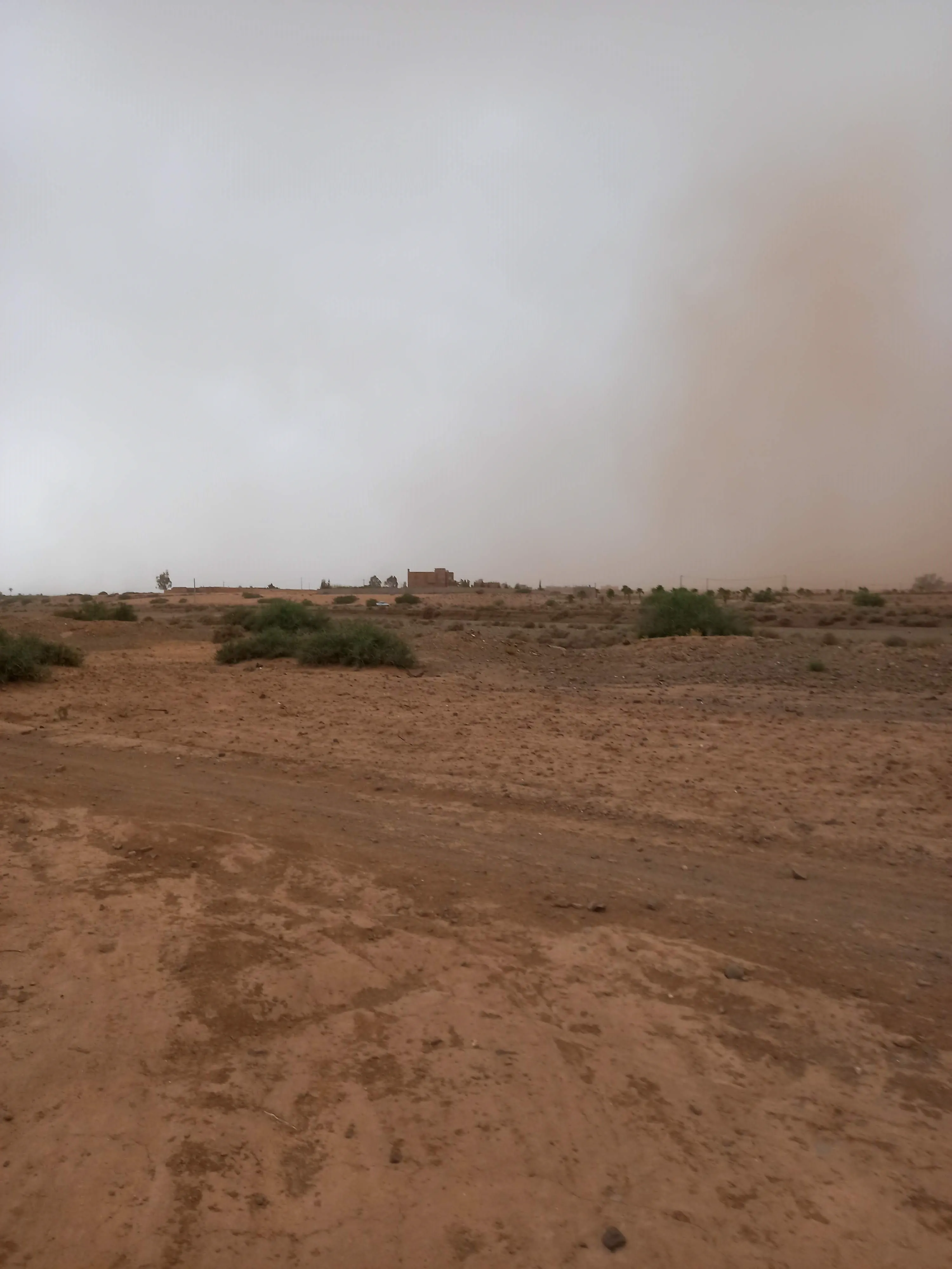 Terrain Melkia de 15153 m² à Bouros 20 km de Marrakech - مراكش (2)