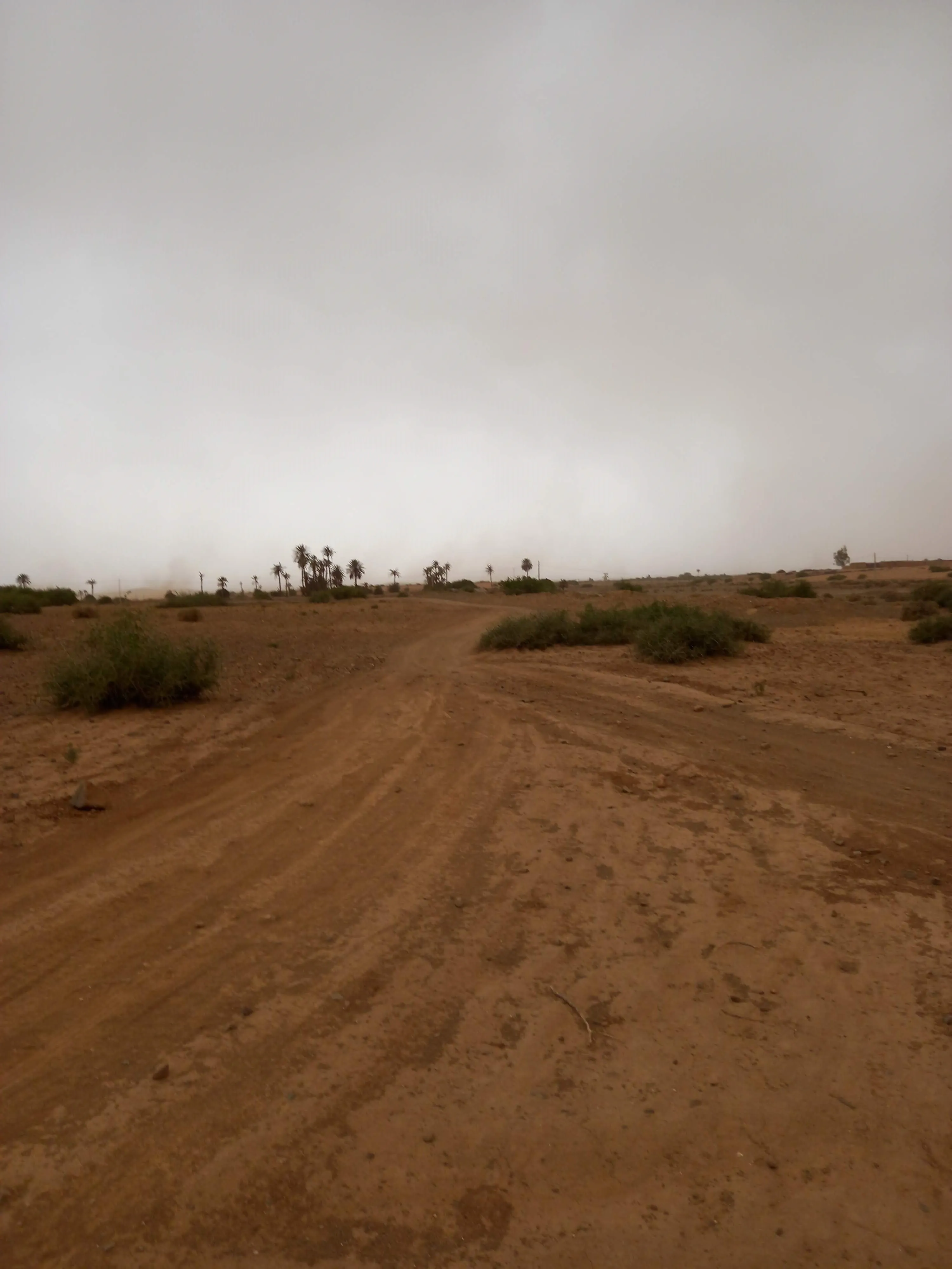 Terrain Melkia de 15153 m² à Bouros 20 km de Marrakech - مراكش (3)