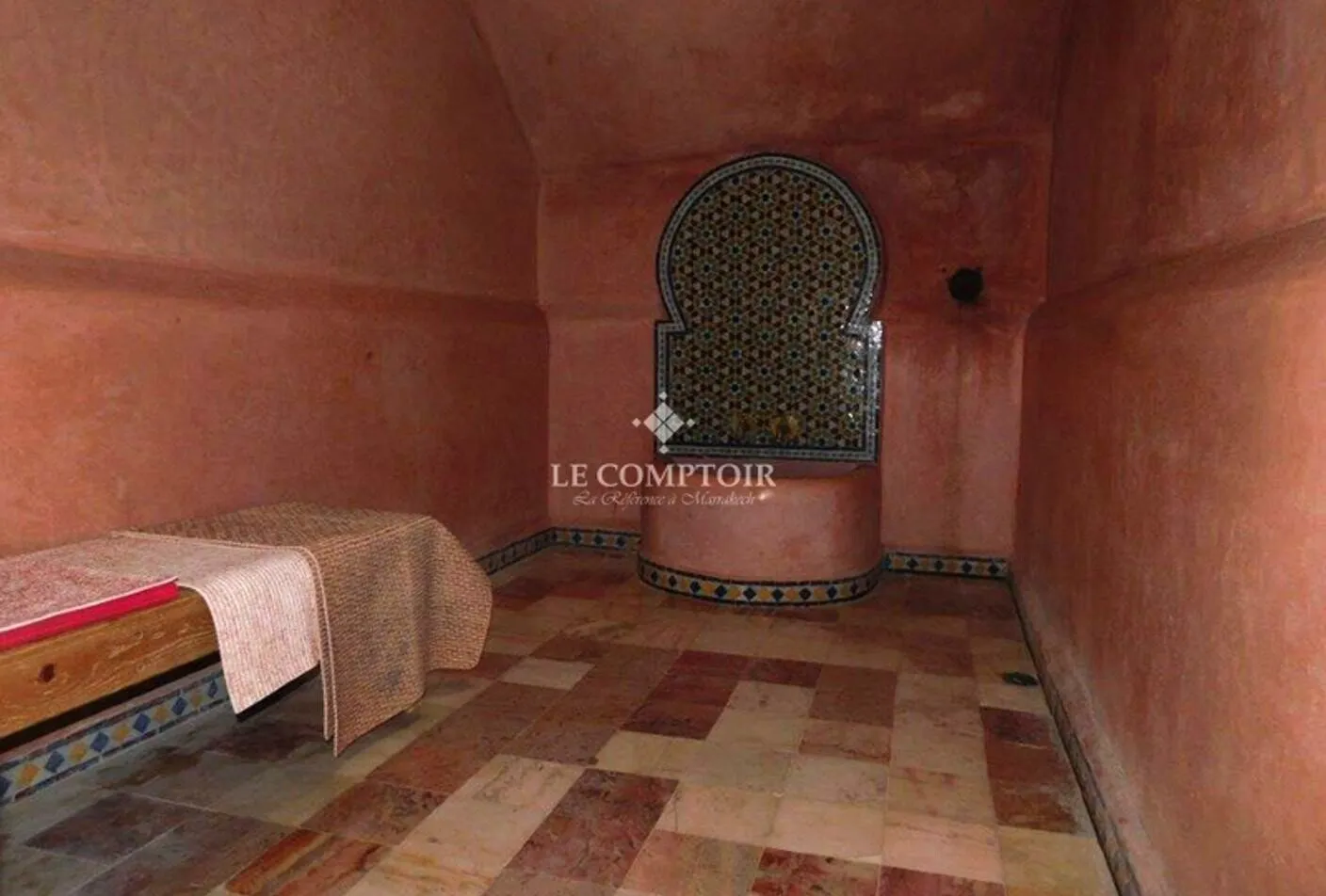 PROPRIÉTÉ DE 2 HECTARES À VENDRE - SIDI ABDELLAH GHIAT - MARRAKECH - مراكش (2)
