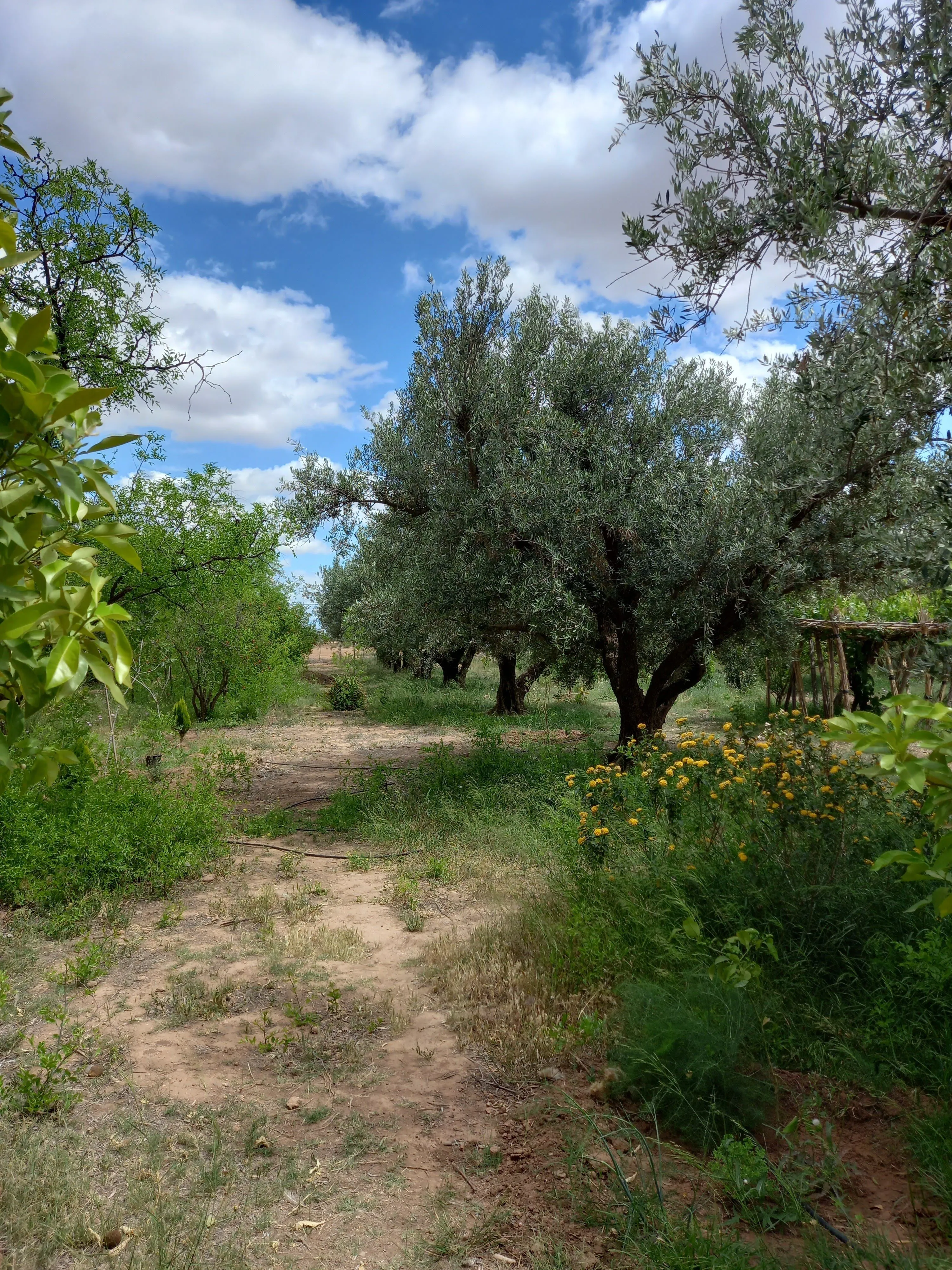 Ferme de 2.5 hectares sur la roue de Fès - مراكش