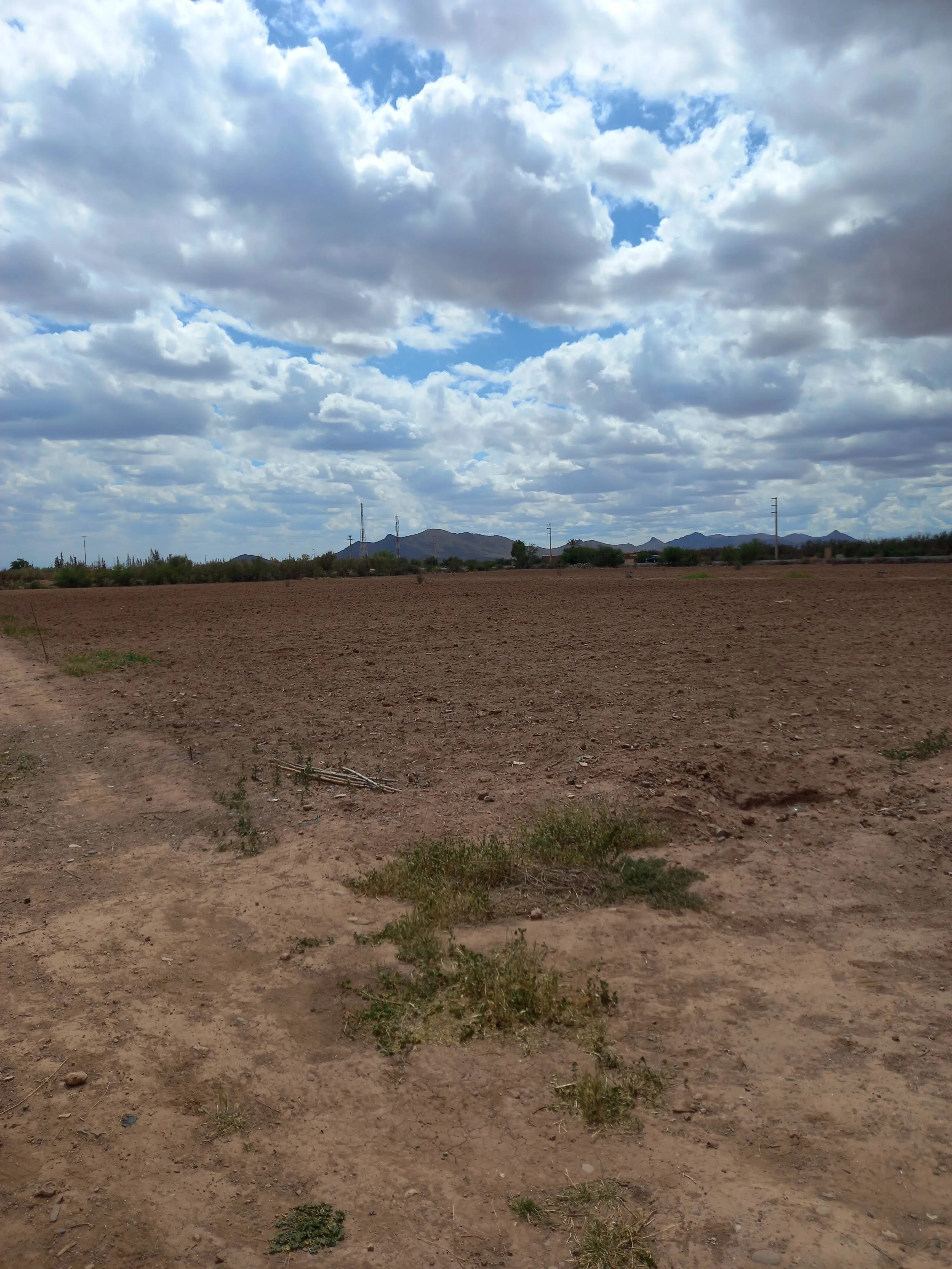 Ferme de 2.5 hectares sur la roue de Fès - مراكش (4)