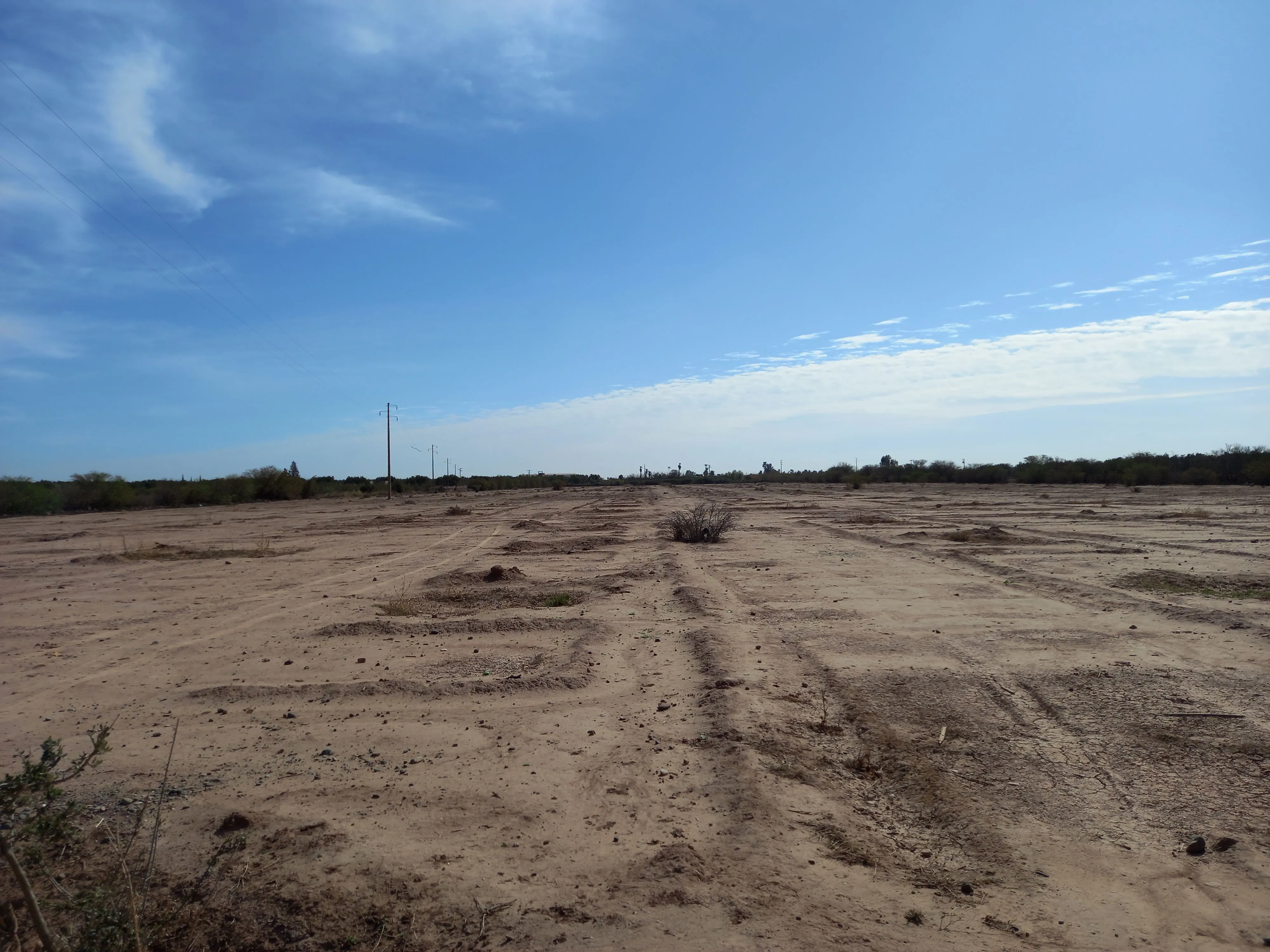 Terrain titré de 4.5 hectares à 11 km du centre ville - مراكش