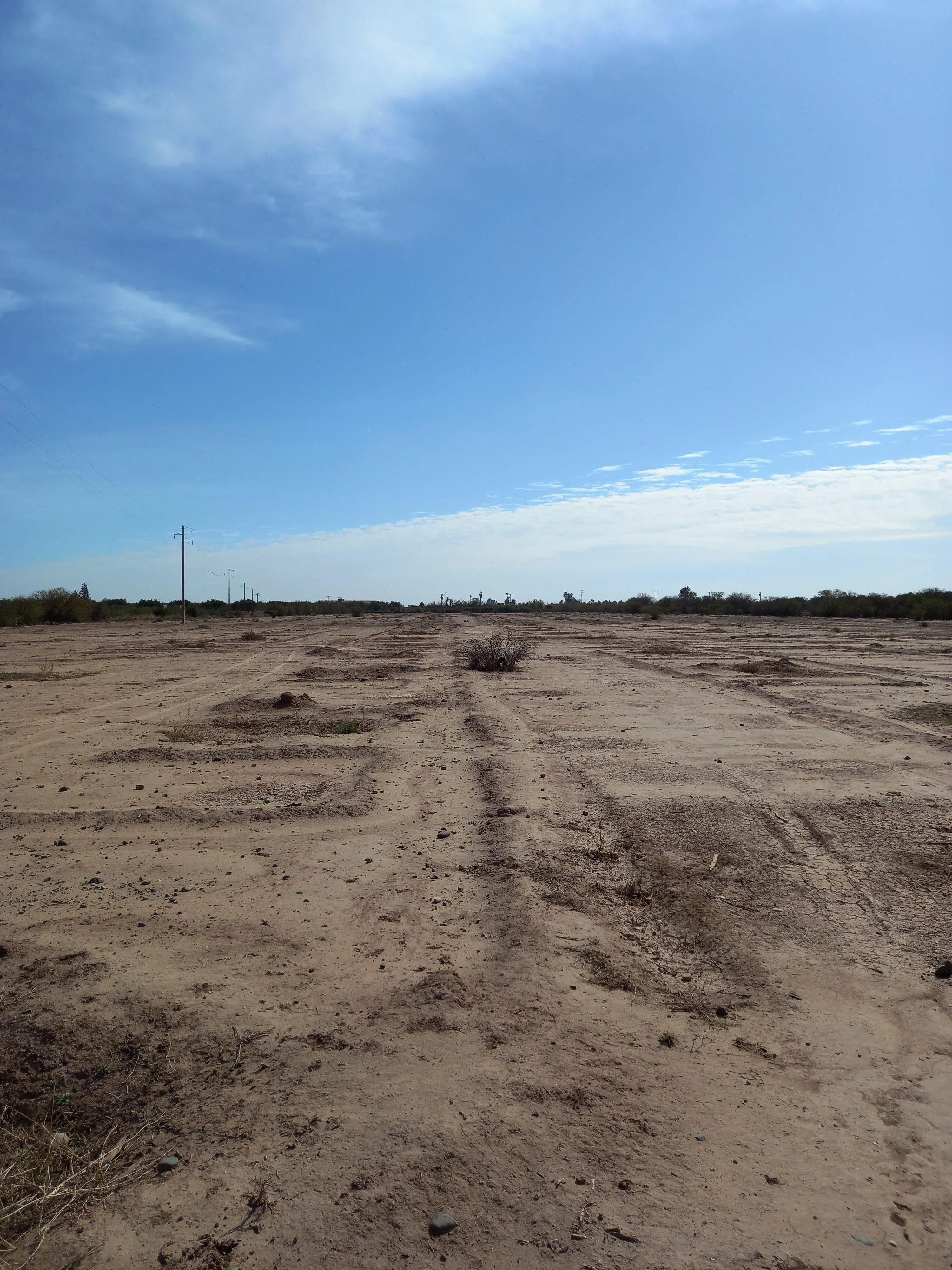 Terrain titré de 4.5 hectares à 11 km du centre ville - مراكش (2)