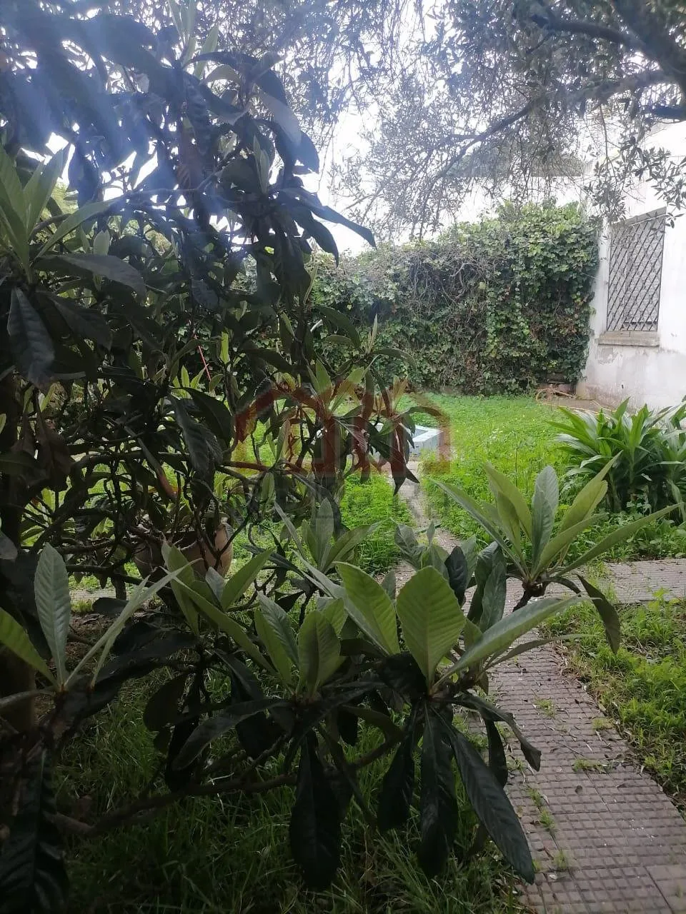 Villa en exclusivité - فاس (4)