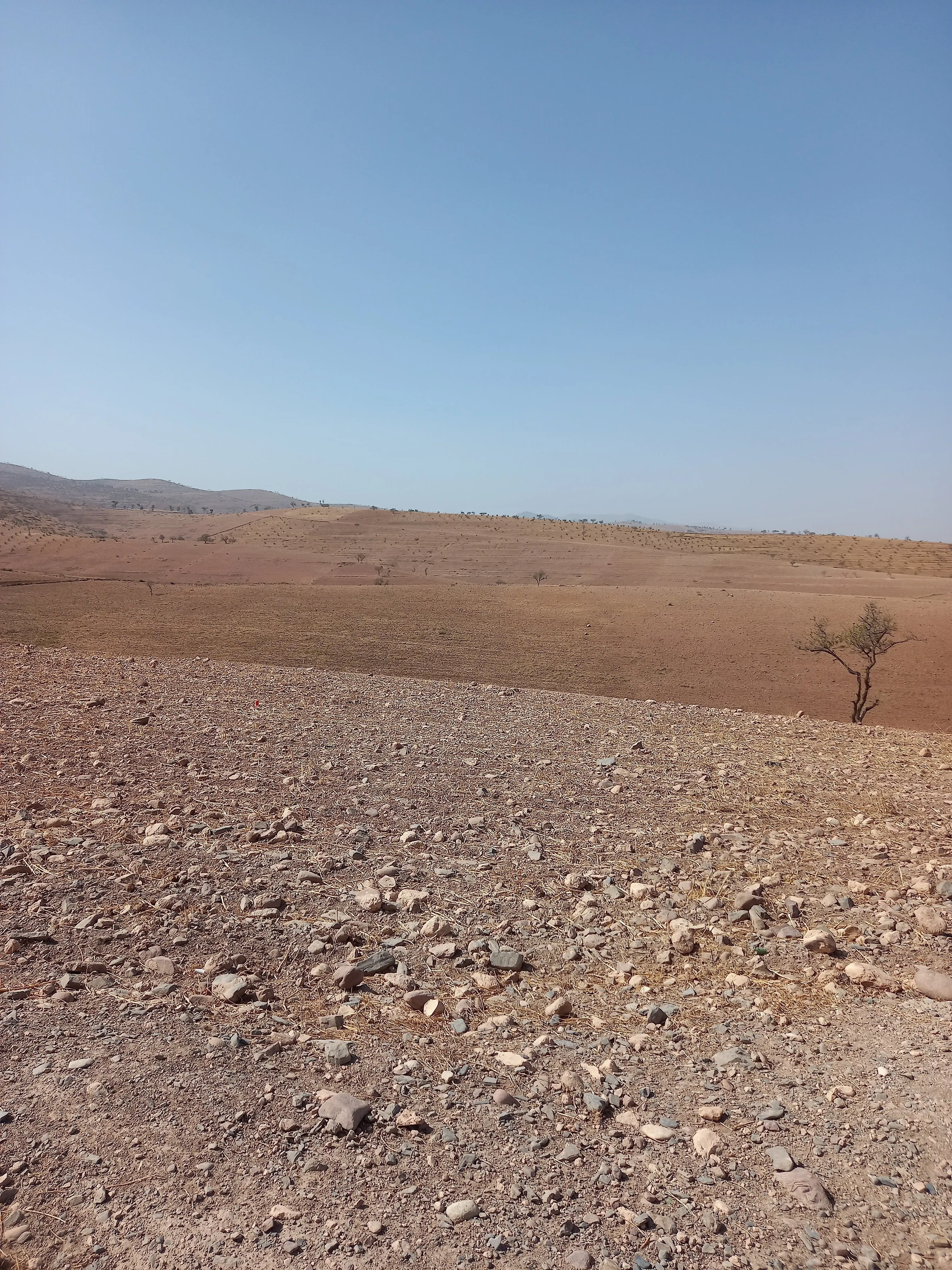 Terrain de 4.6H à Tahnaout 30 km de Marrakech - مراكش
