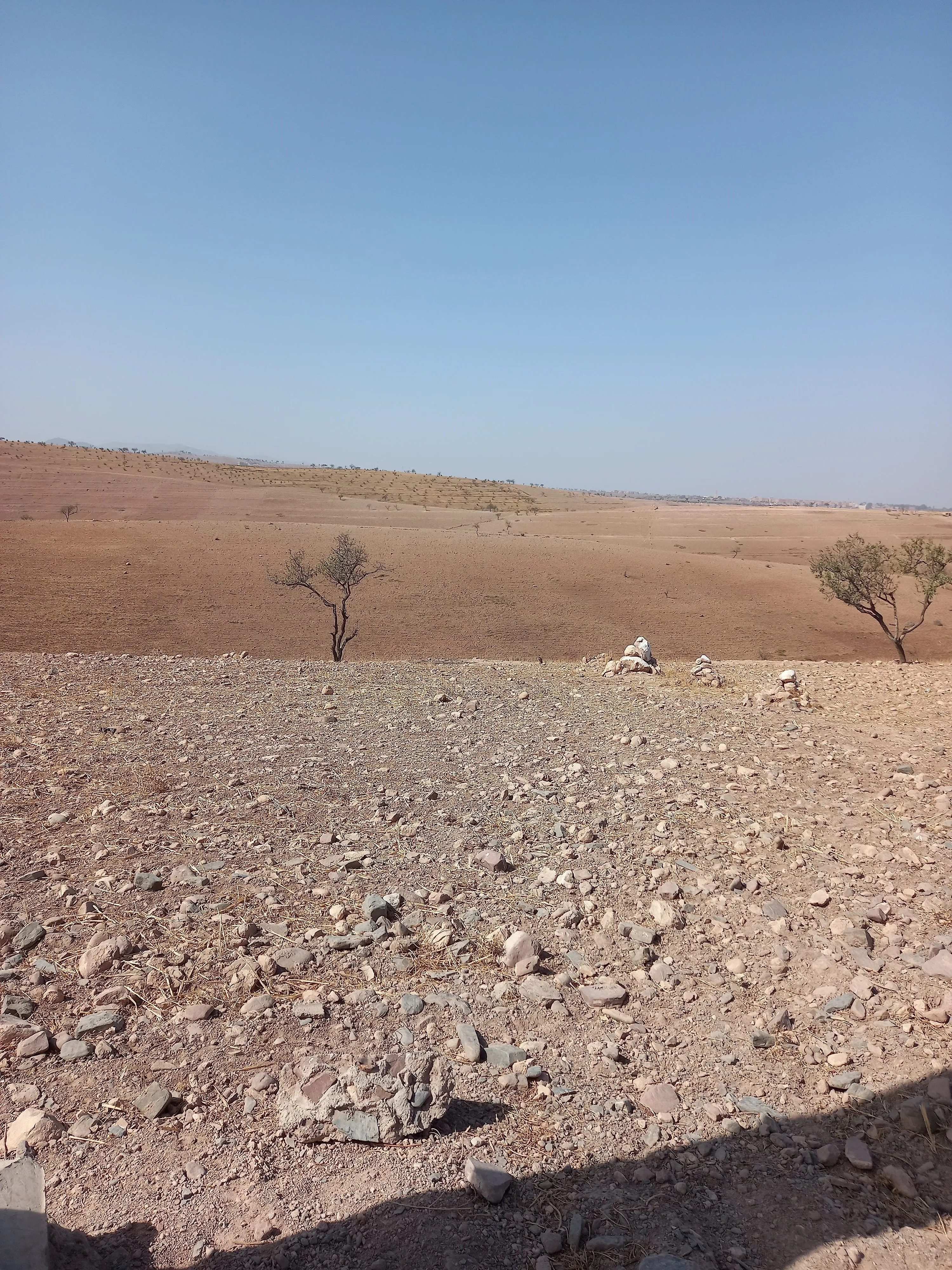 Terrain de 4.6H à Tahnaout 30 km de Marrakech - مراكش (2)