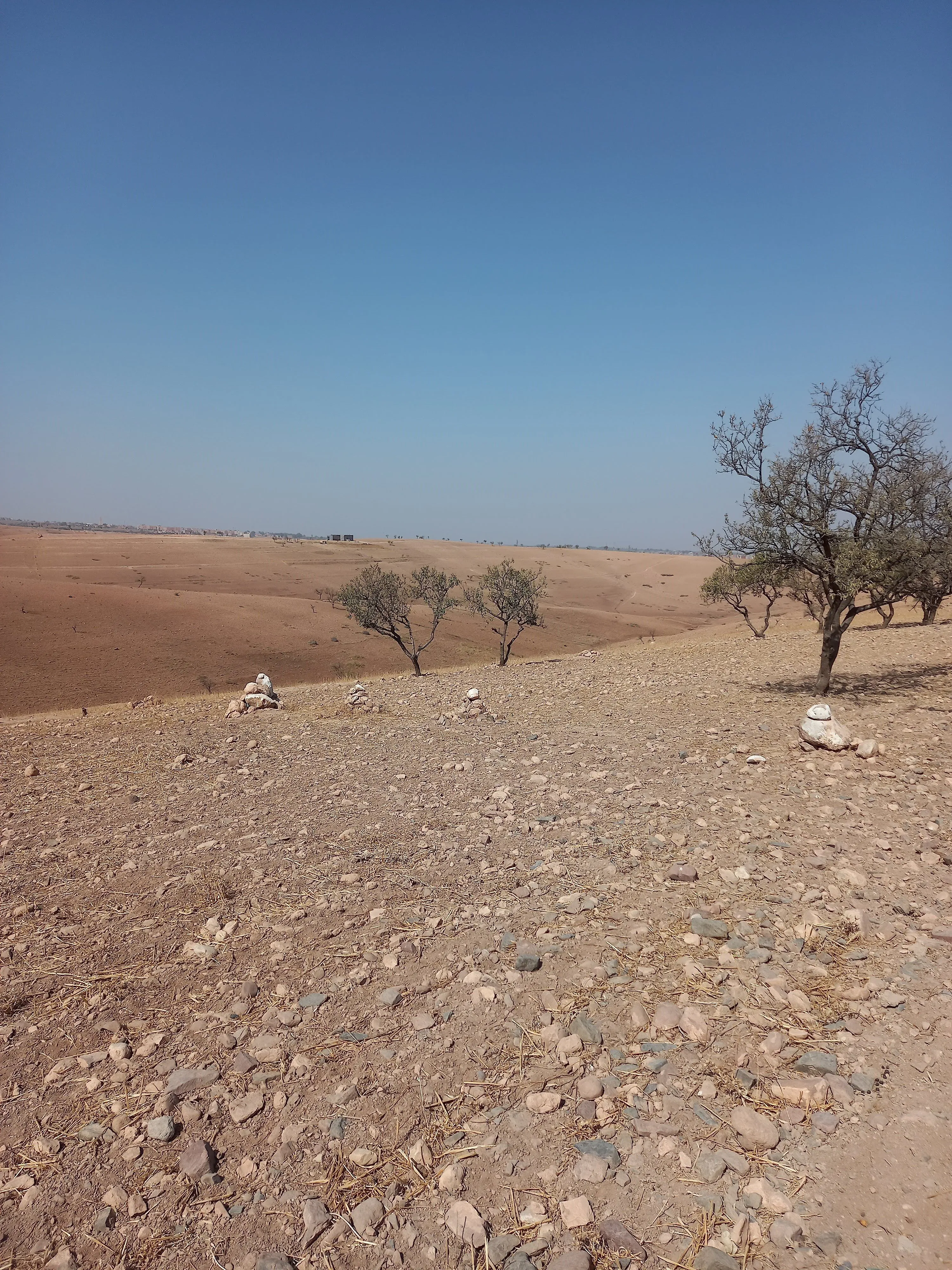 Terrain de 4.6H à Tahnaout 30 km de Marrakech - مراكش (4)