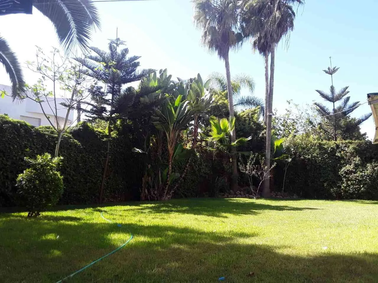 Belle villa plein sud ensoleillée a Ain diab - الدار البيضاء (3)