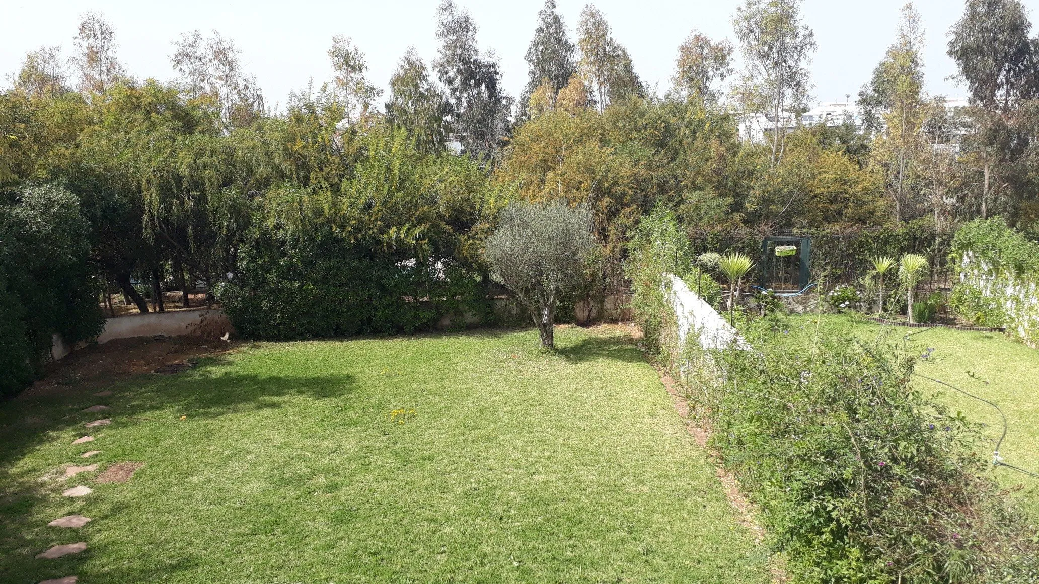 Vente Villa Vide Bouskoura - الدار البيضاء (3)