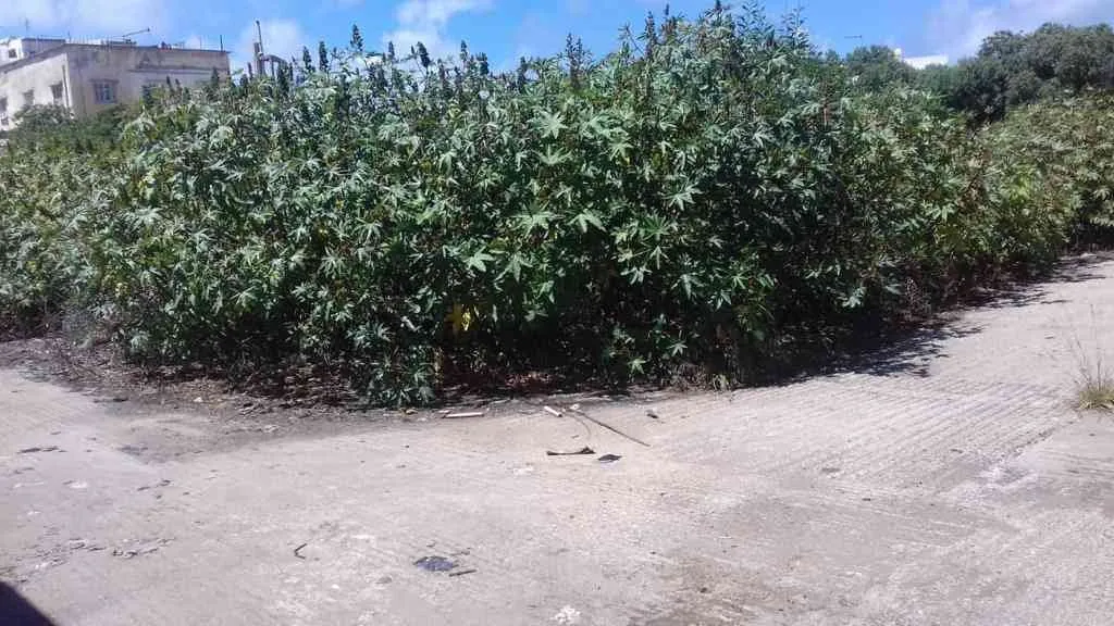 Beau terrain en vente de 1050 m2 à Ain Sebaa - الدار البيضاء