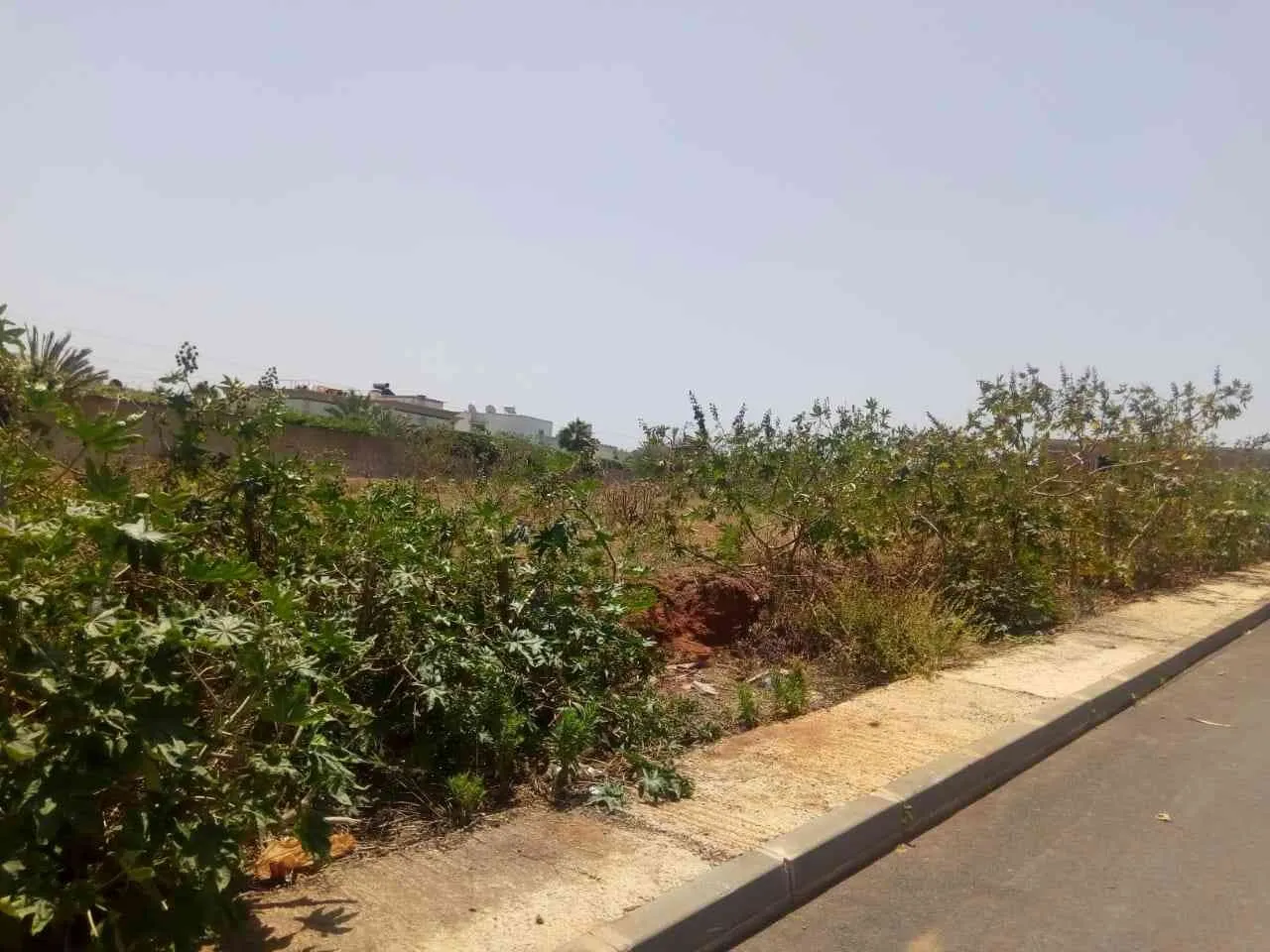 Lots de terrains en vente à Ain Chock Californie - الدار البيضاء