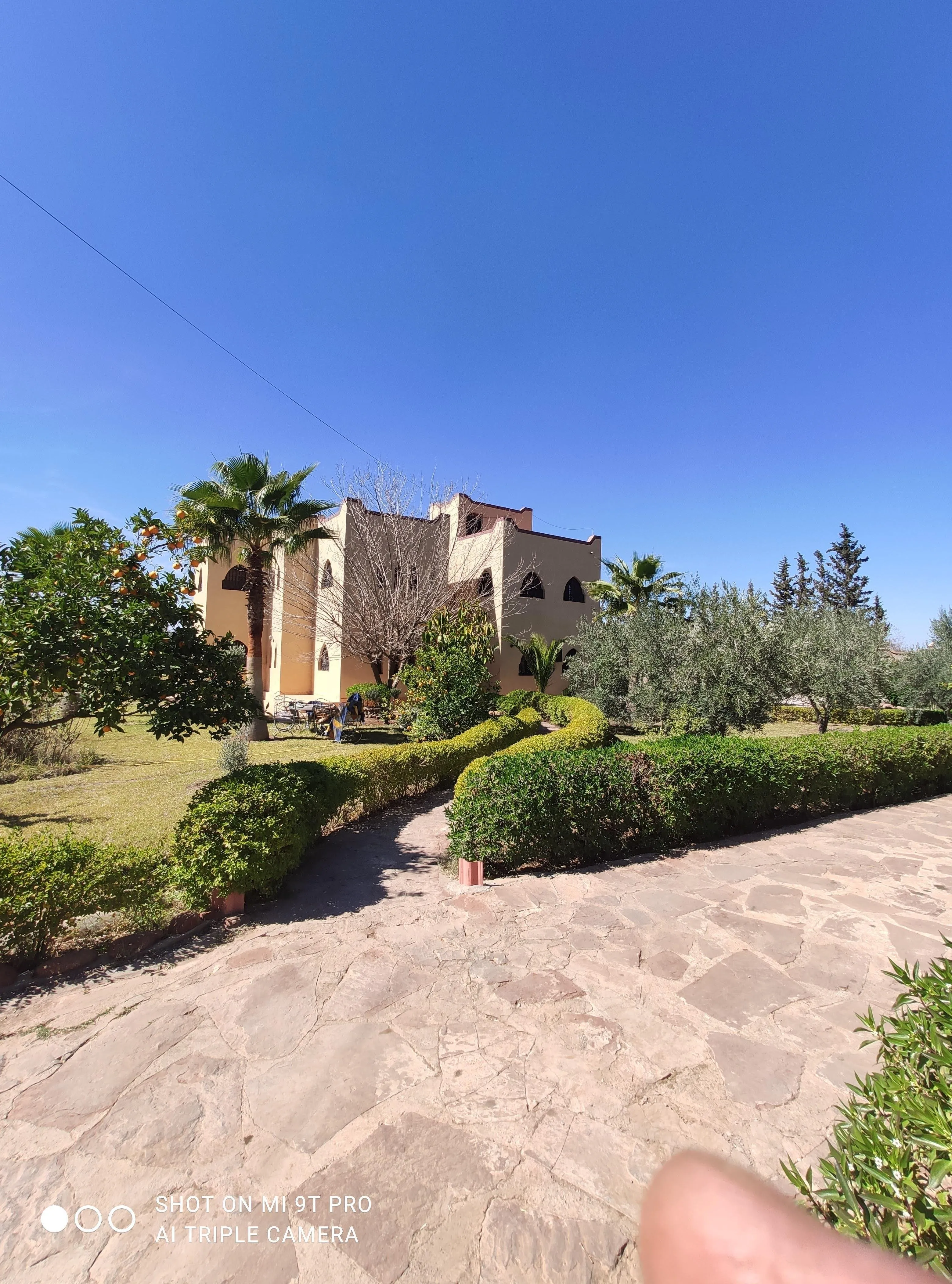 Villa d'un hectare route d'Ourika - مراكش (2)