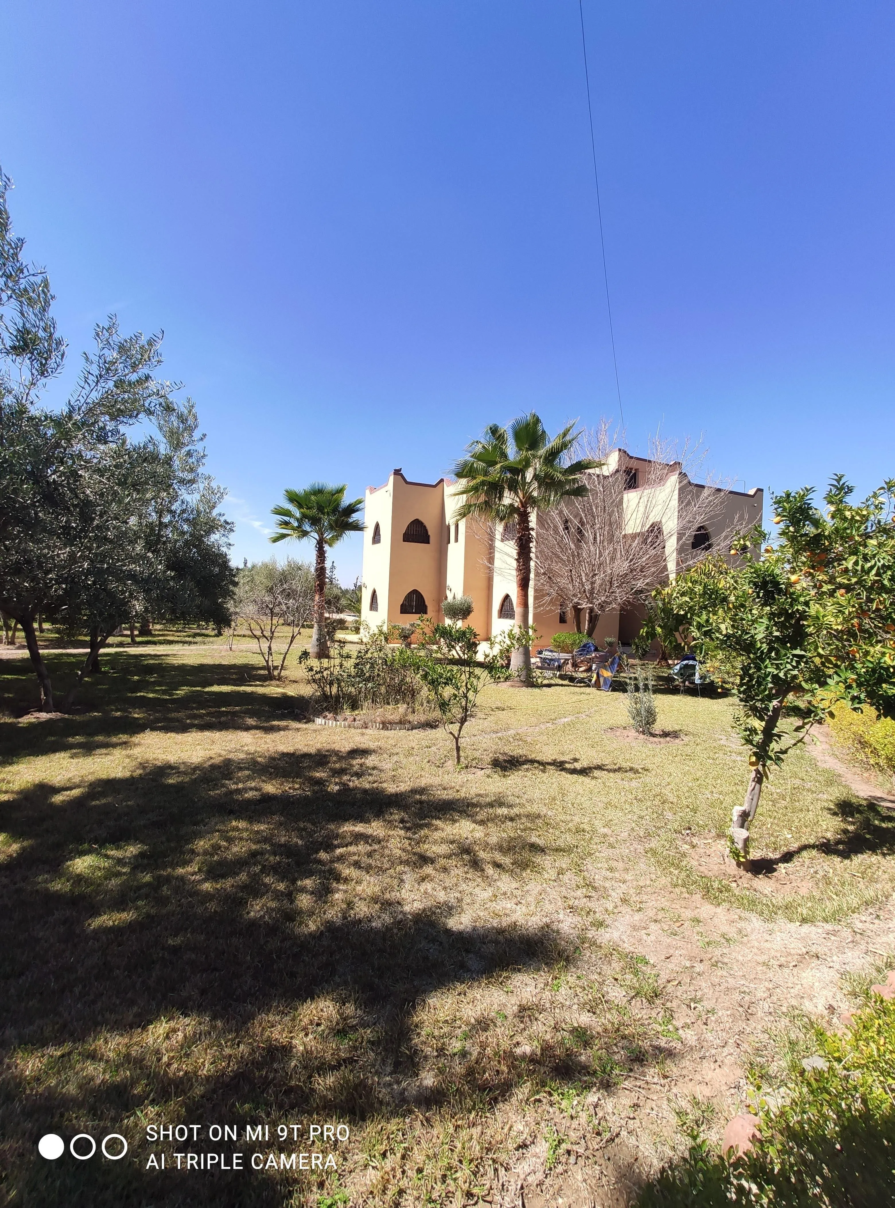 Villa d'un hectare route d'Ourika - مراكش (3)