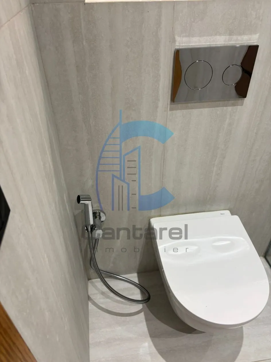À LOUER -APPARTEMENT ENTIÈREMENT RÉNOVÉ / RACINE - الدار البيضاء (2)