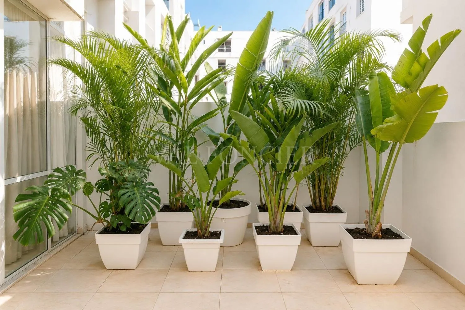 Location Superbe Appartement Meublé 255m2 3Chambres et Terrasse Palmier, Casablanca - الدار البيضاء (2)