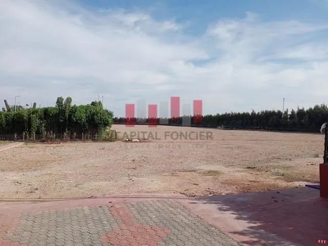 Terrain 6000m2 aménagé pour stockage de véhicules à la location Merchiche - الدار البيضاء (4)