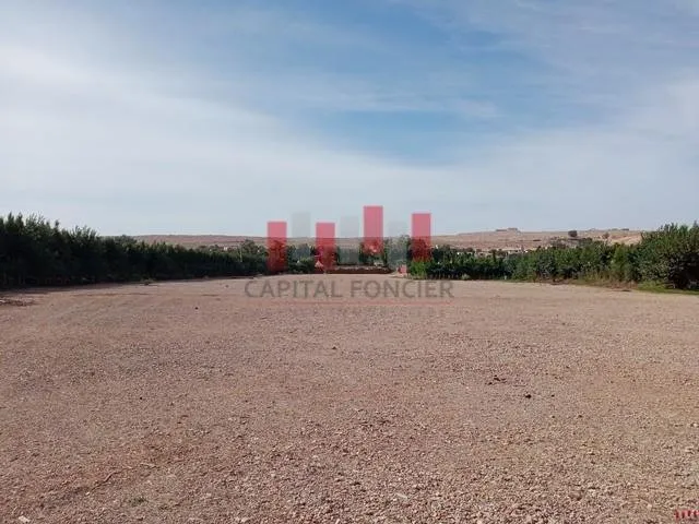 Terrain 6000m2 aménagé pour stockage de véhicules à la location Merchiche - الدار البيضاء (3)
